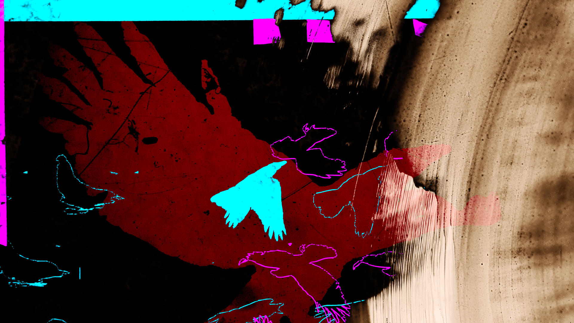 BIRD_MILK_still3.png