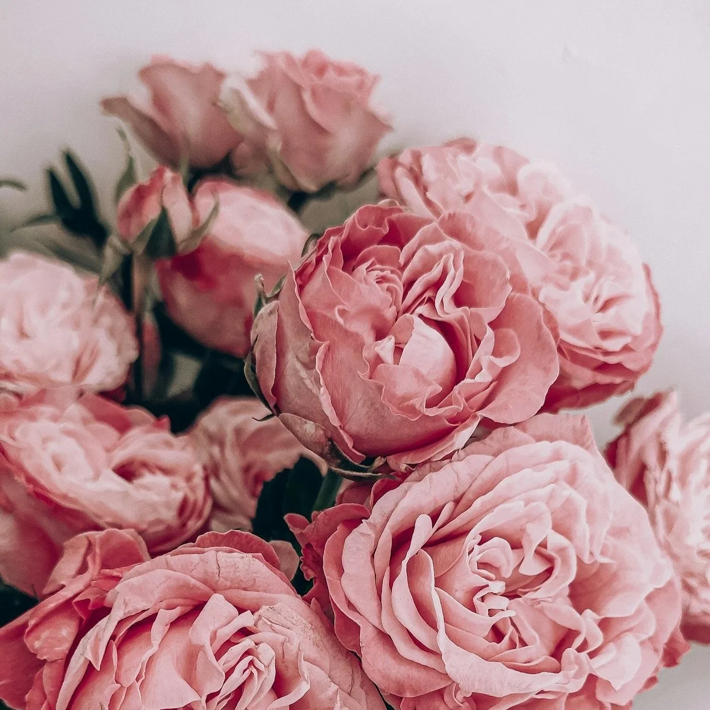 UPPER VILLAGE BLOOMS