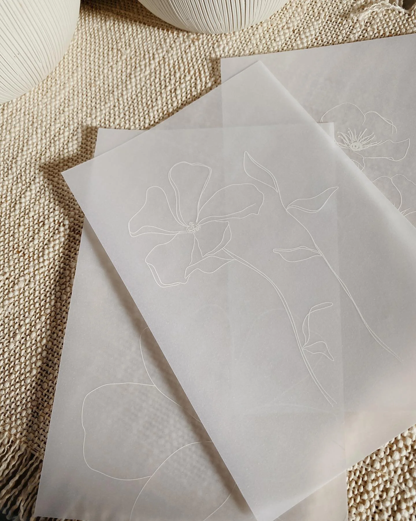 Hand-drawn floral line illustrations on translucent 🤍