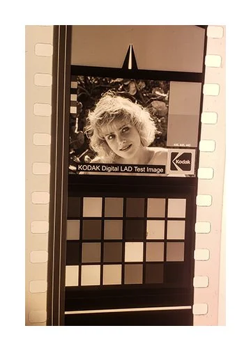 Leader Lady 10 20241029_145932-6.jpg