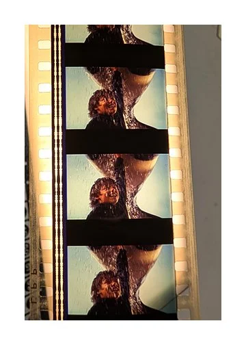 Free Willy PXL_20250721_152212602.MP~2-13.jpg