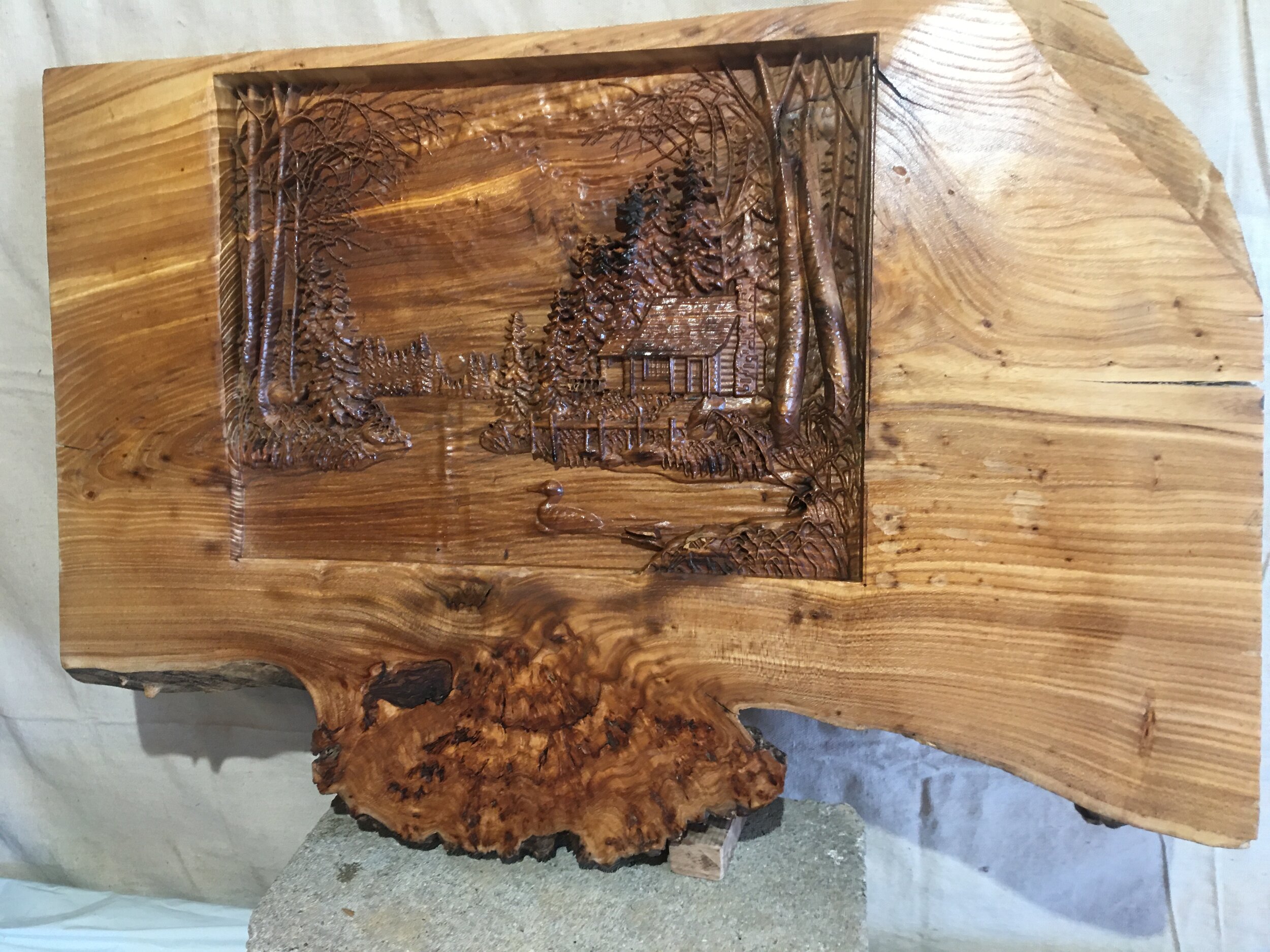 lake house elm with burl 1.JPG