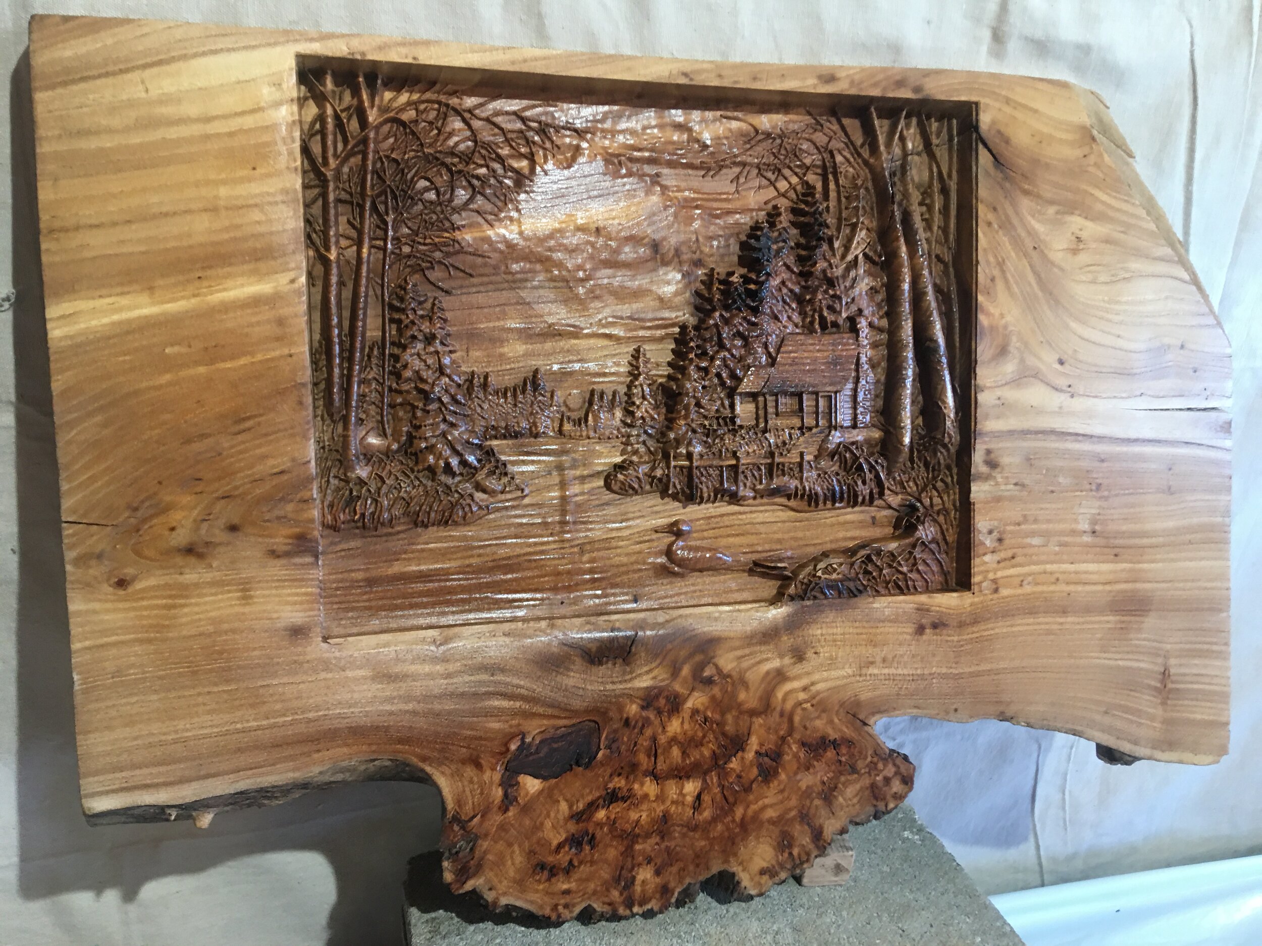 lakehouse elm with burl 2.JPG