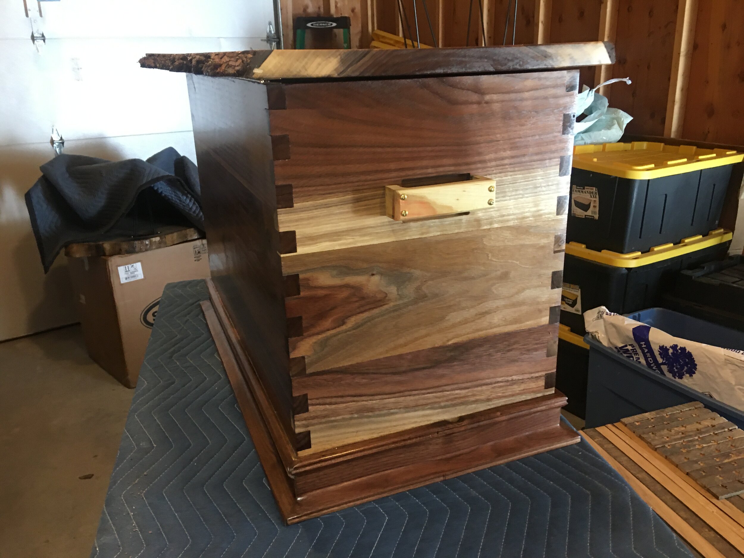 walnut box 3.JPG