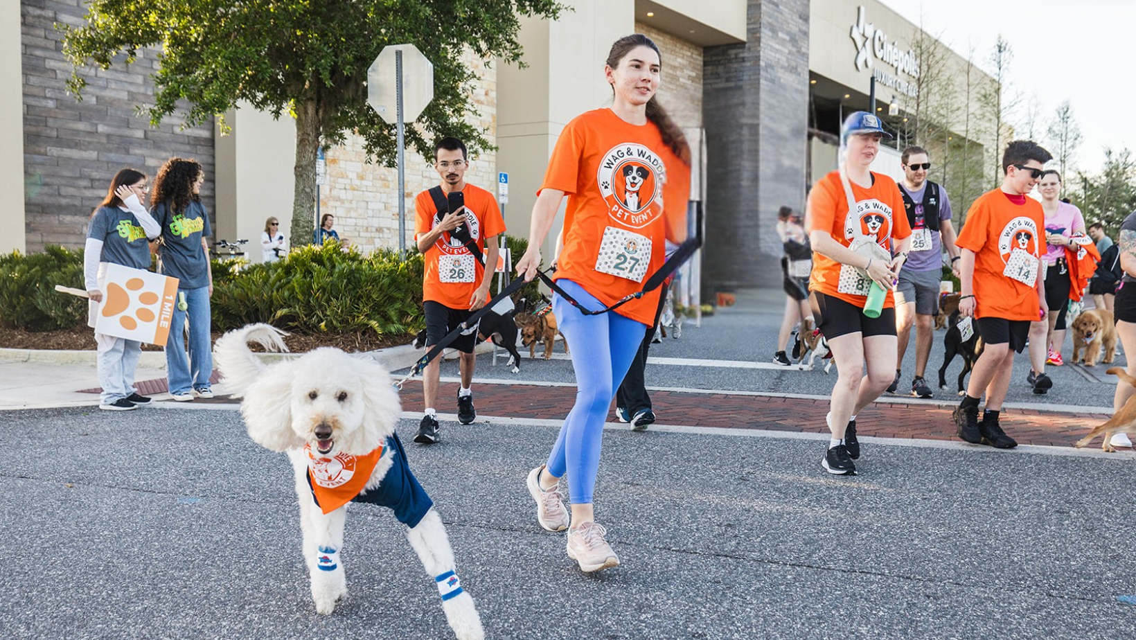 Wag and Waddle Dog Run Orlando Halloween.png