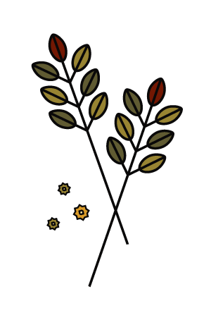 branches.png