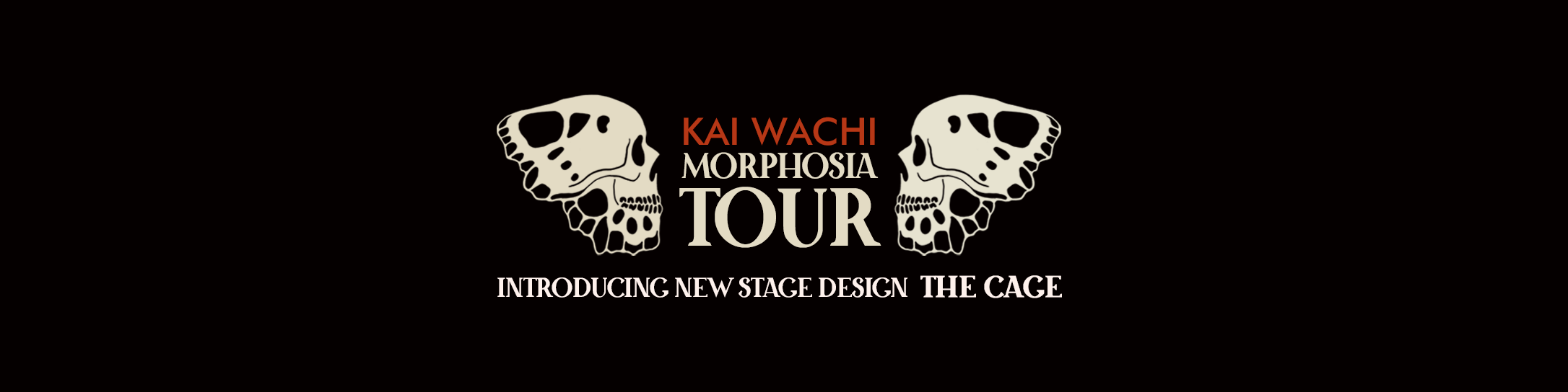 Kai Wachi – Artists