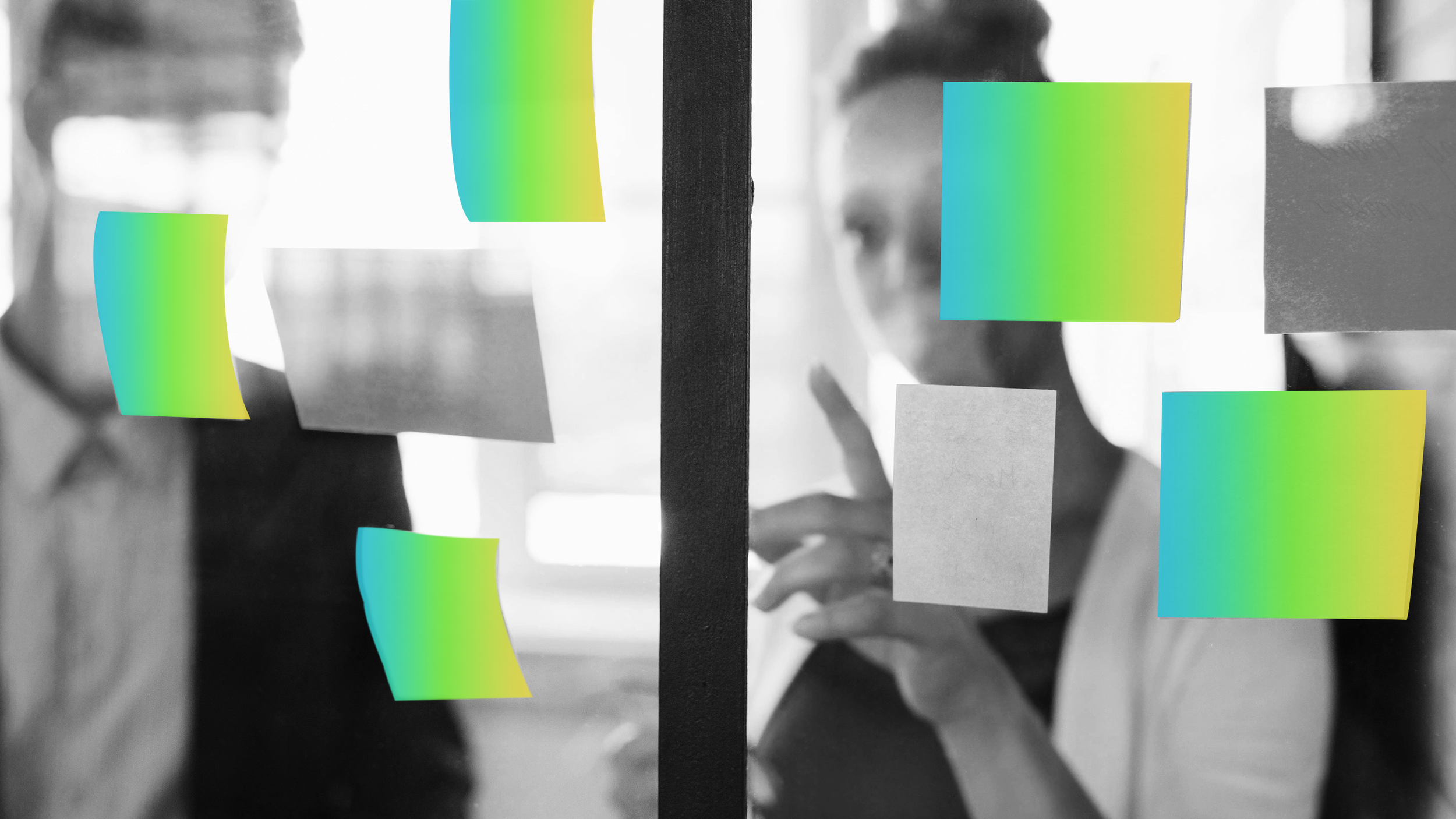 The Insurance Program Development Process: A DIY Guide