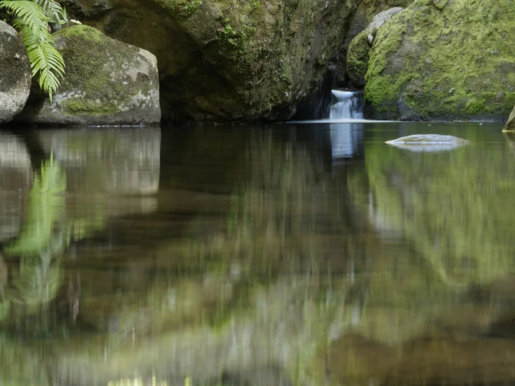 Karamatura Valley - Waitakeres