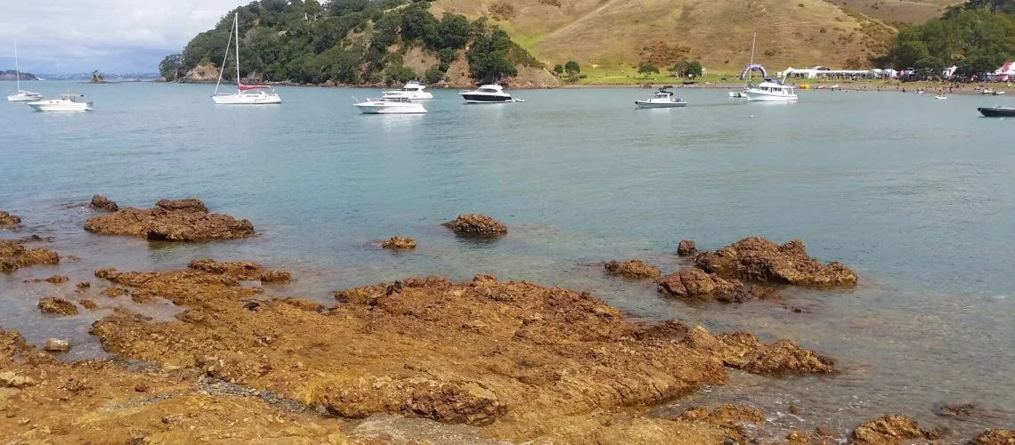 The Dual trail run - 2015