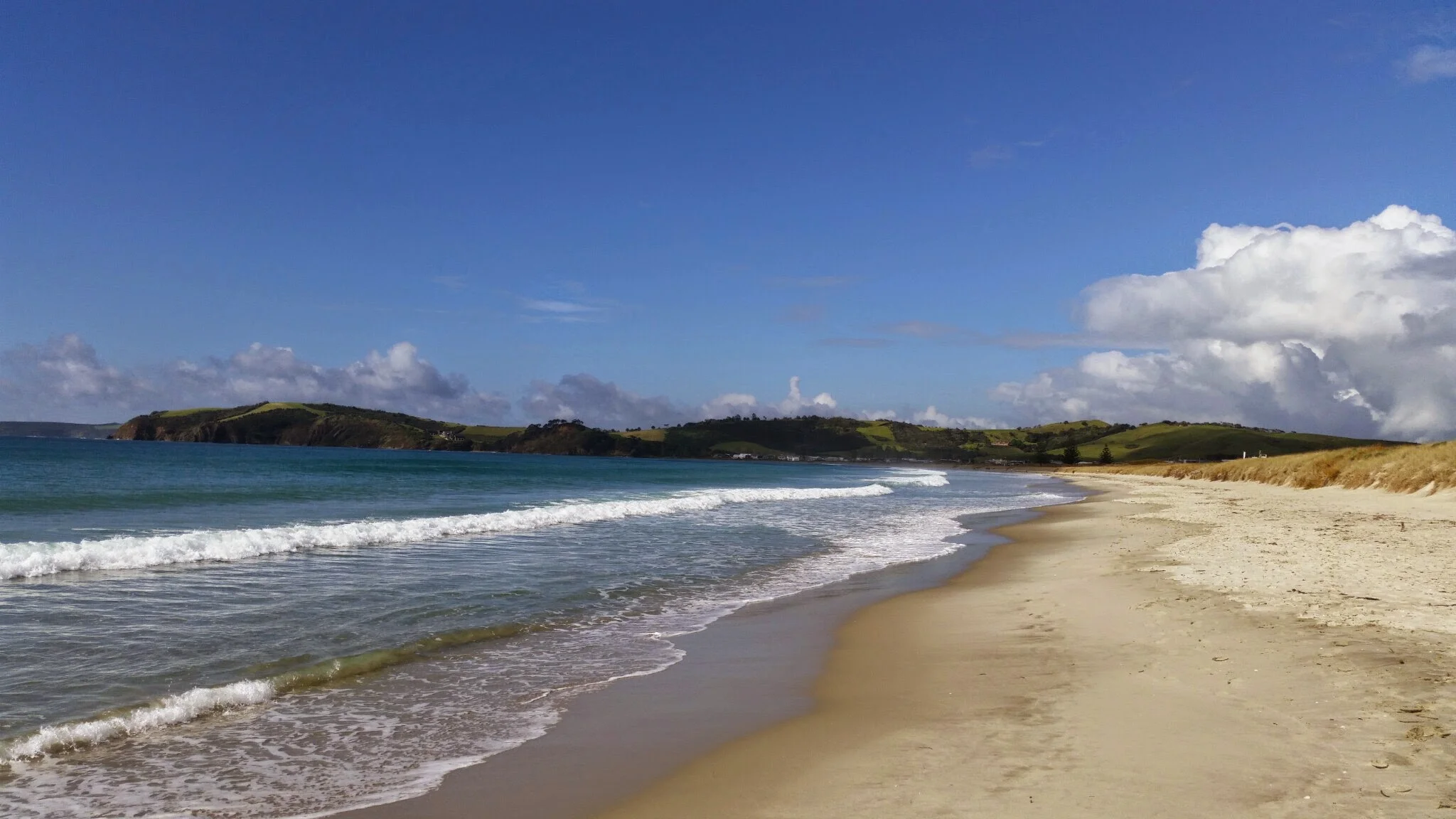 Tawharanui Coastal Challenge, 2015