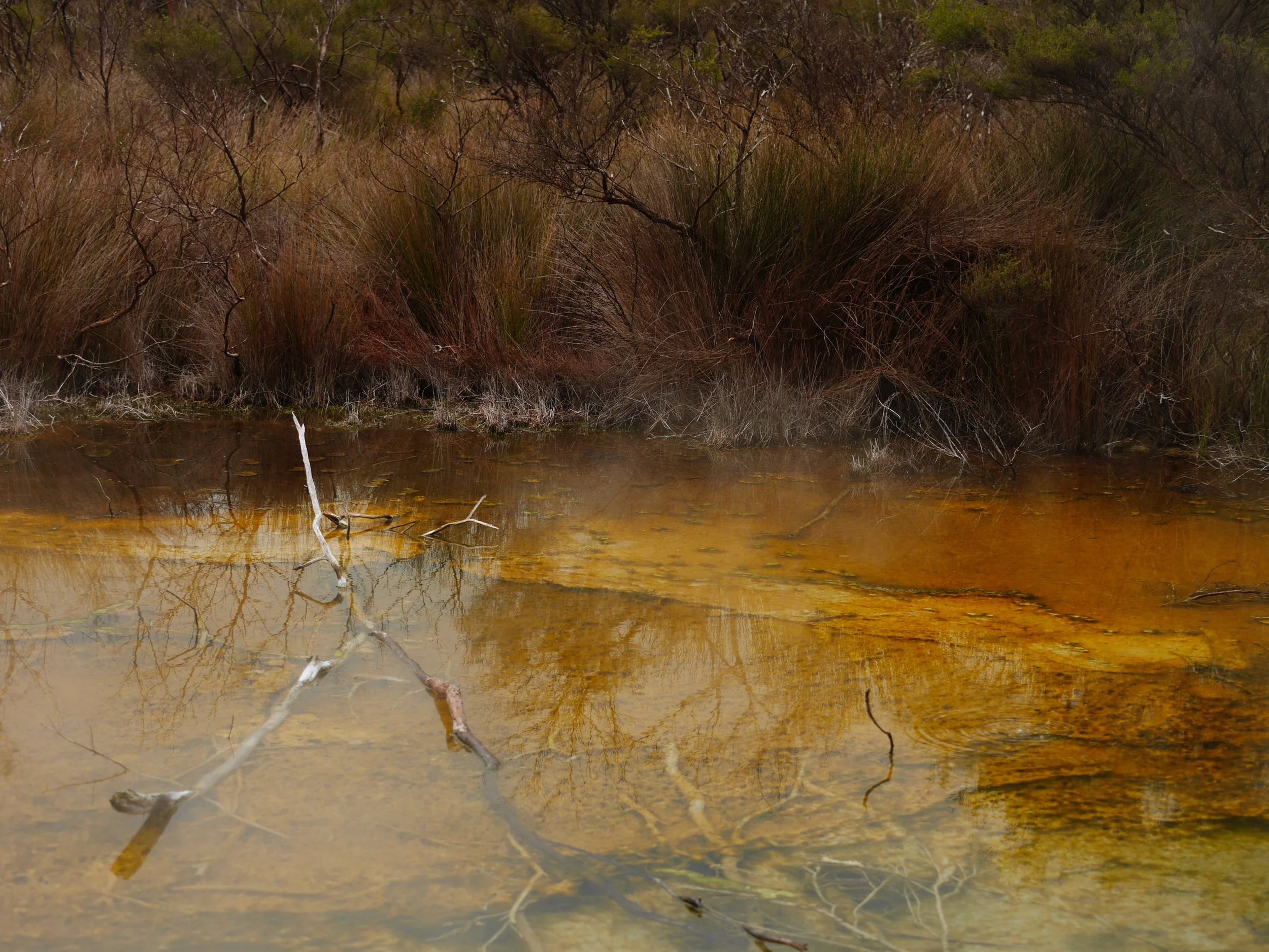 Tokaanu Thermal Walk