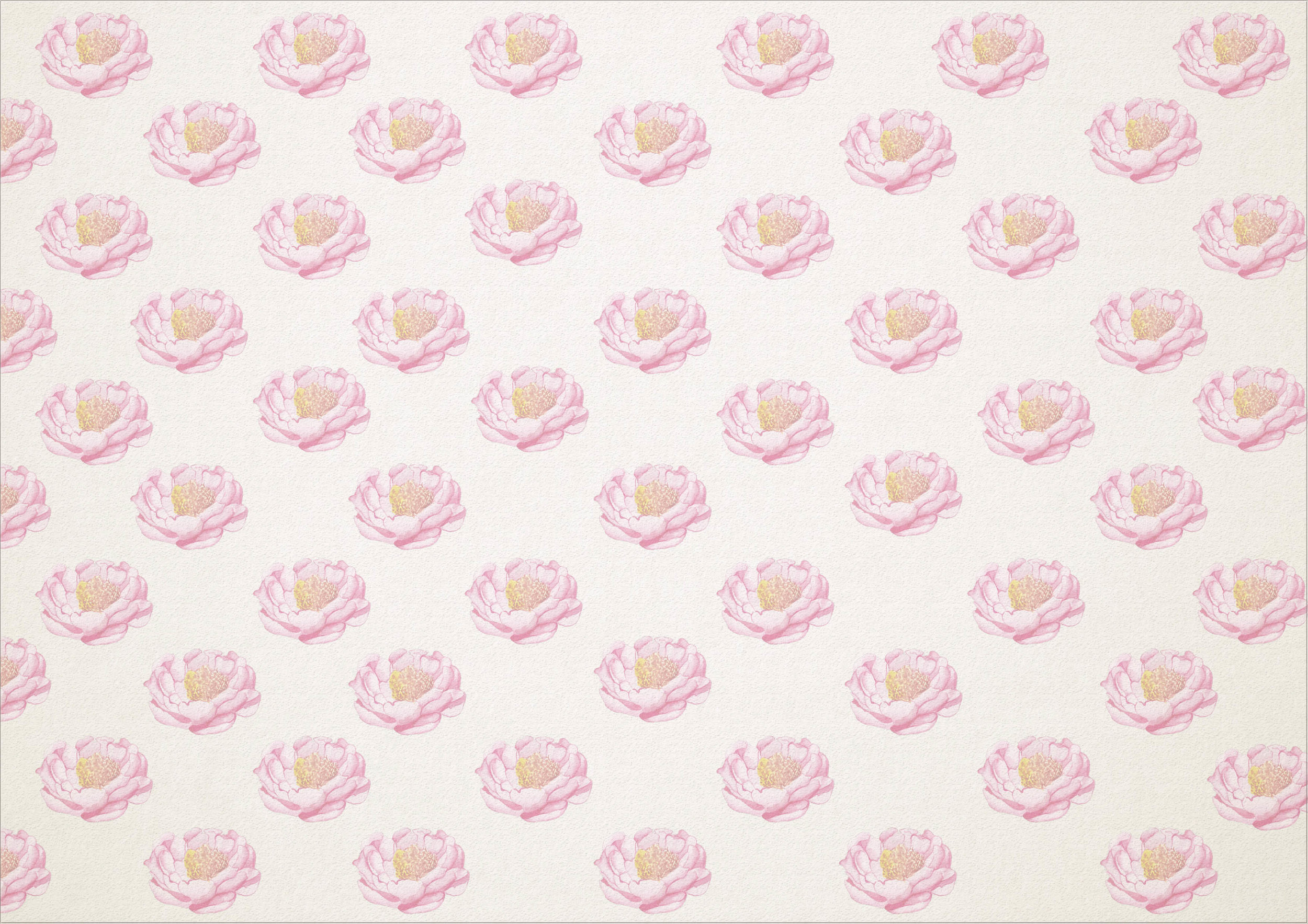 BACKGROUNDLILI.jpg