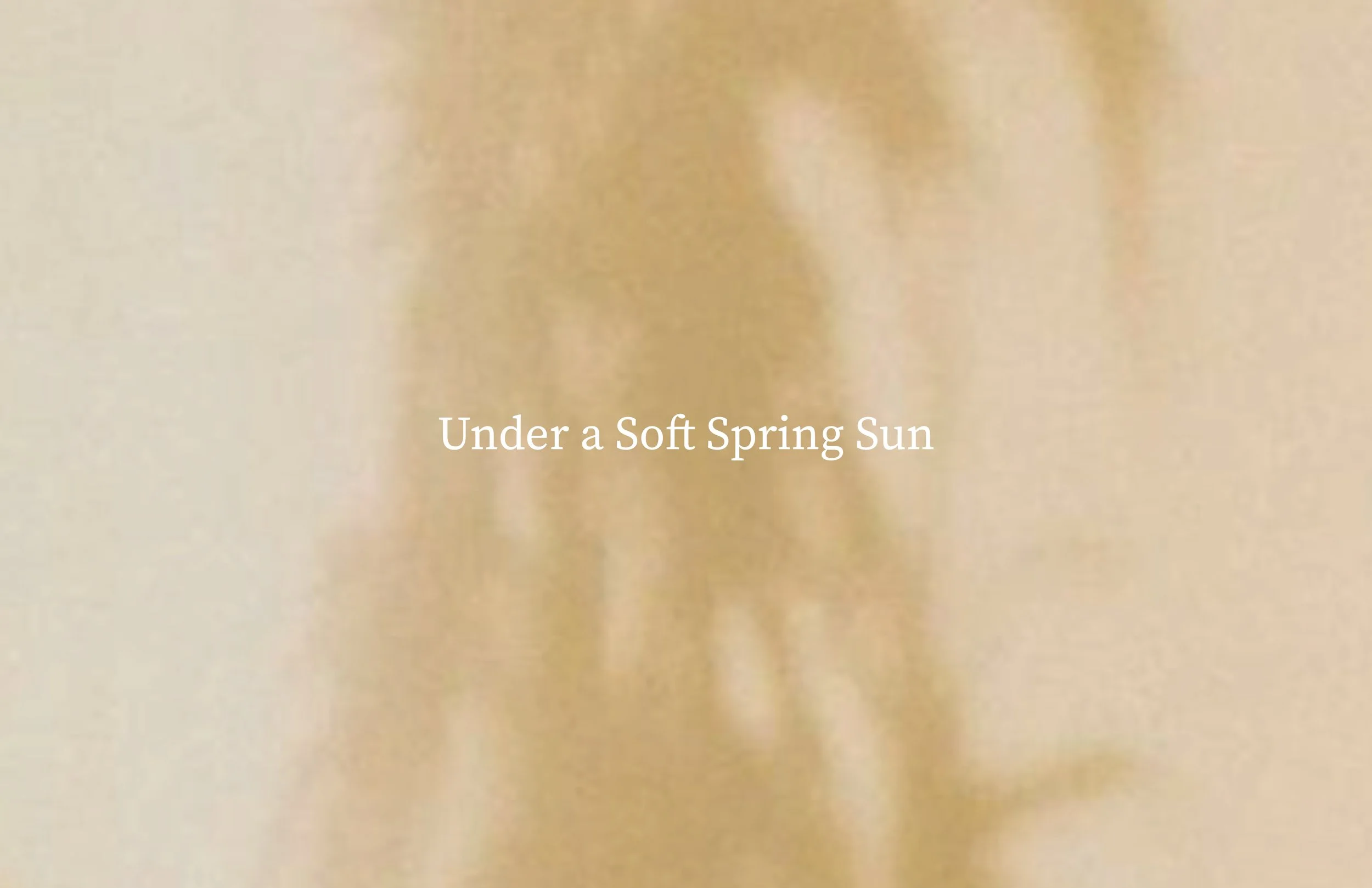 SPRING 25 COLLECTION_TH_11.23.25 [Recovered]-02.jpg