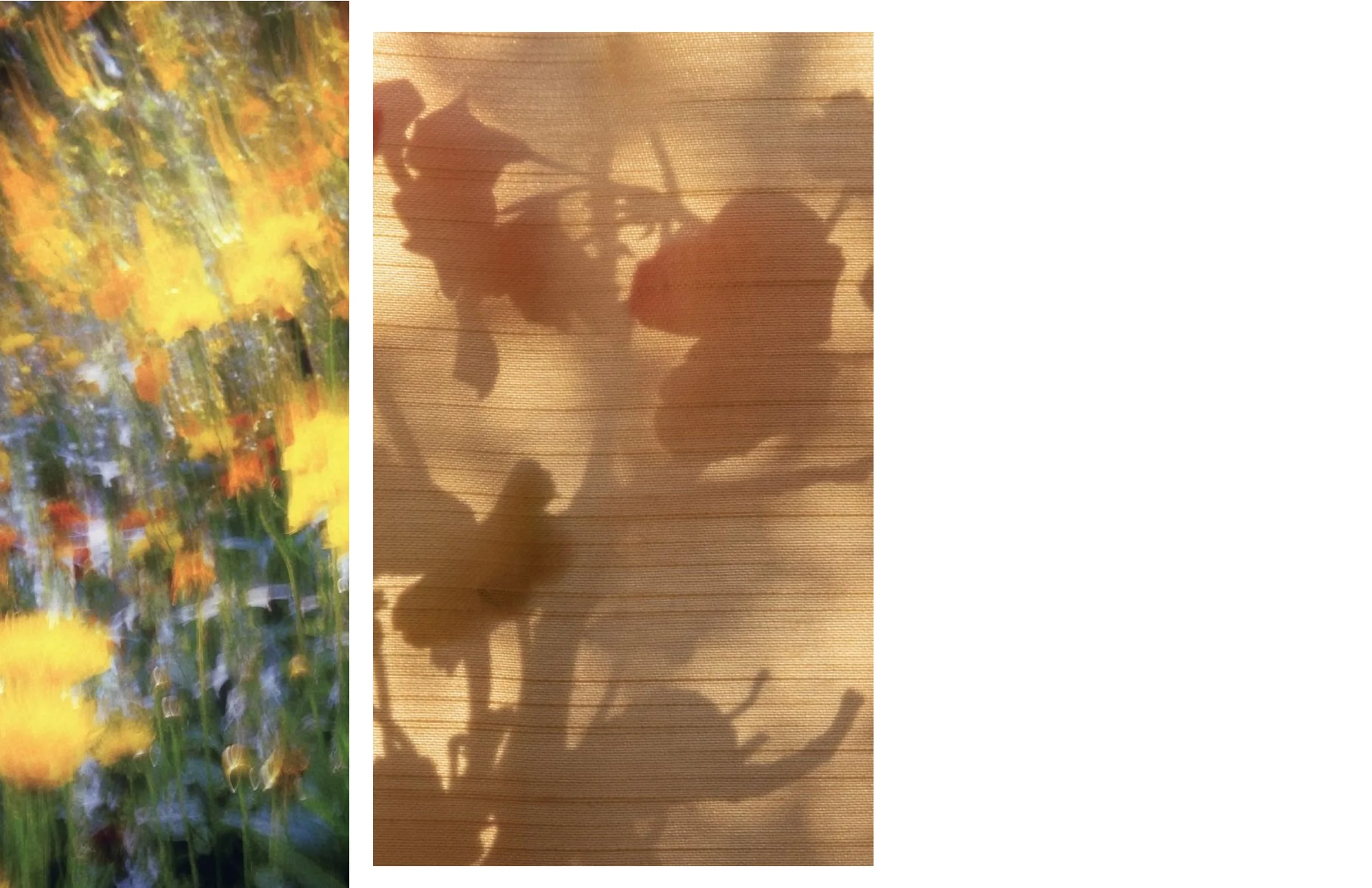 SPRING 25 COLLECTION_TH_11.23.25 [Recovered]-12.jpg