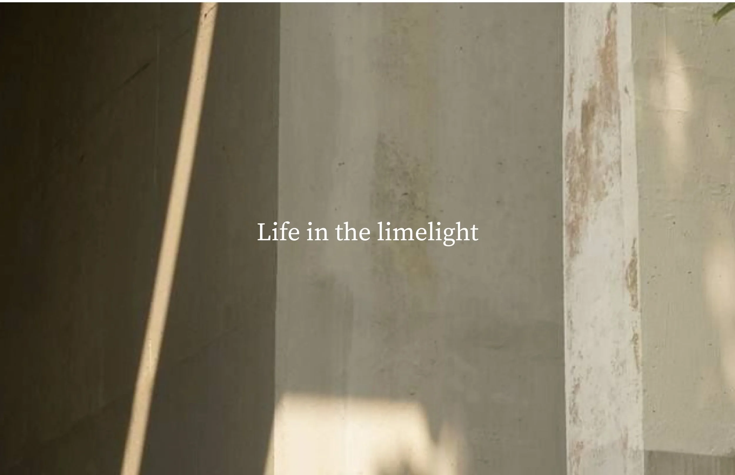 fall 25 COLLECTION-02.jpg