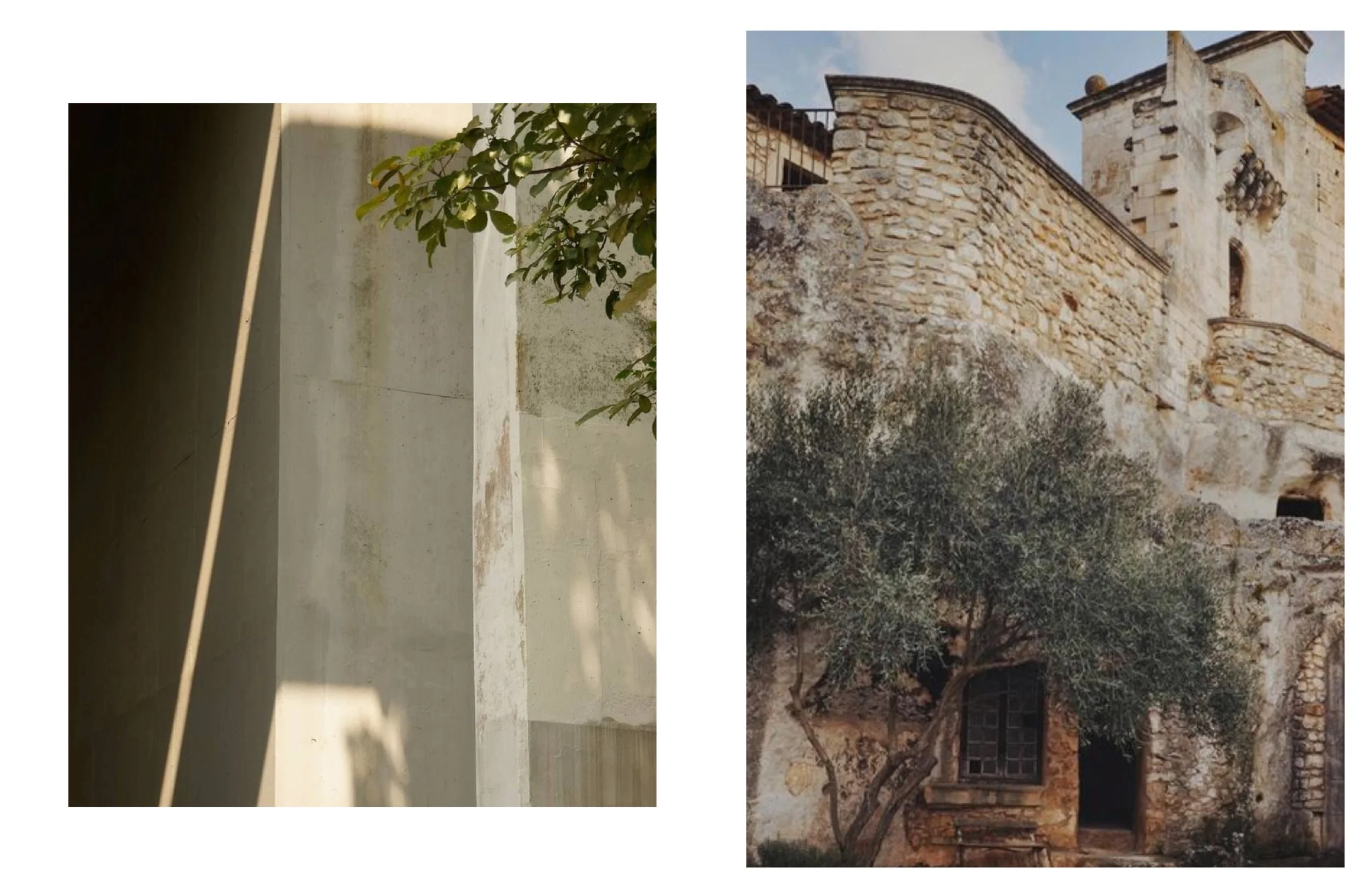 fall 25 COLLECTION-04.jpg