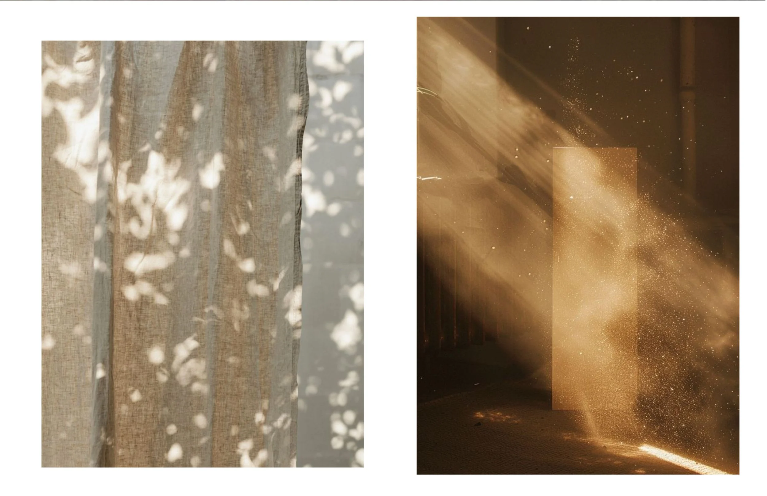 fall 25 COLLECTION-05.jpg