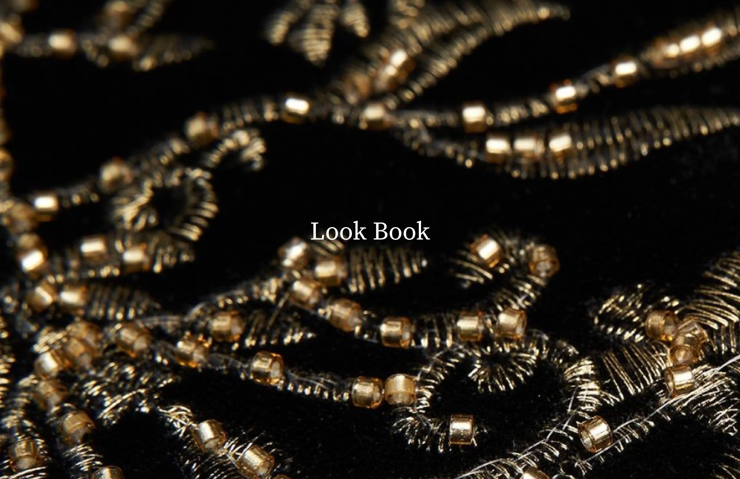 fall 25 COLLECTION-09.jpg