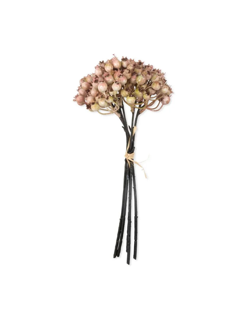 6784-Rose Hip-Bunch.jpg