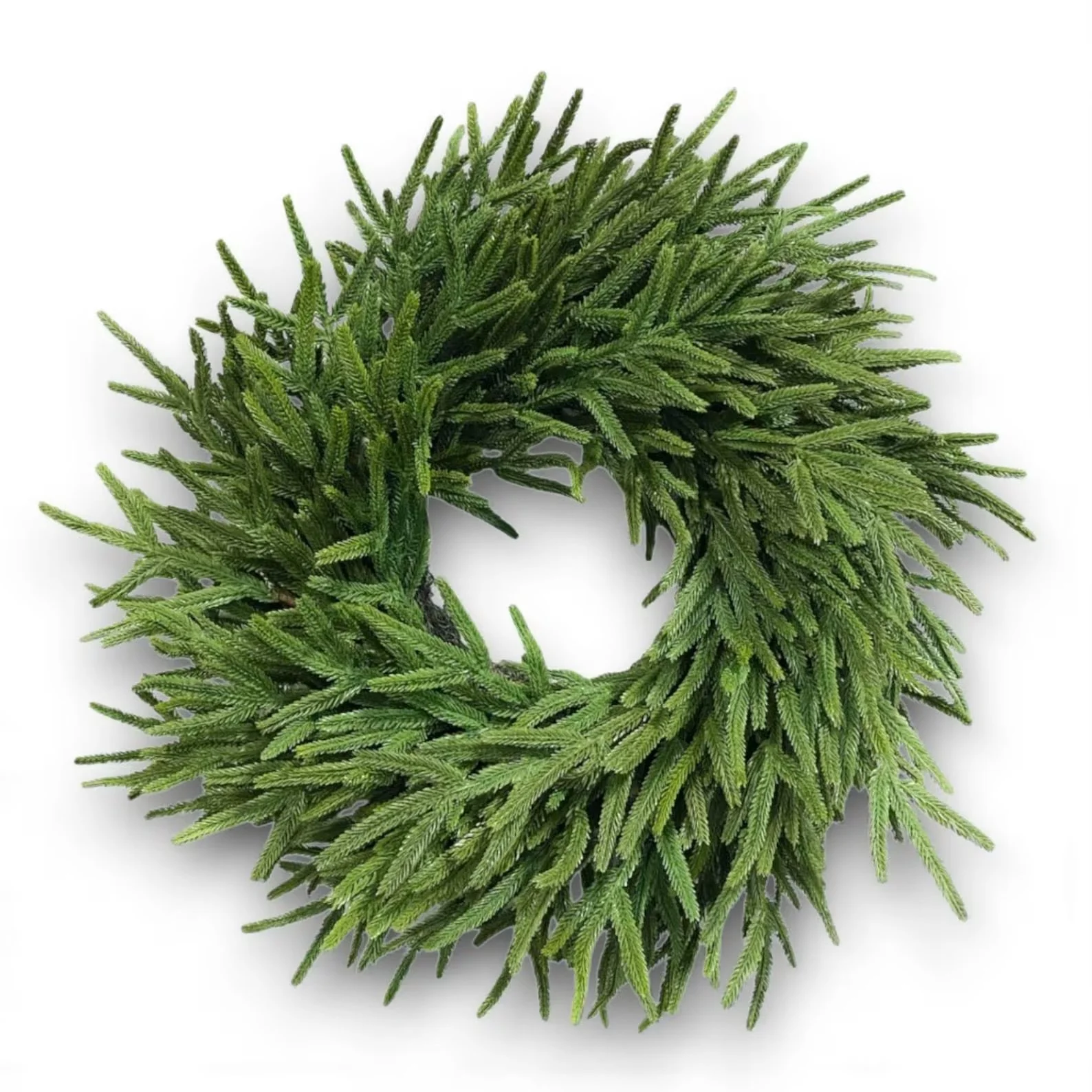 18" norfolk pine wreath.jpeg