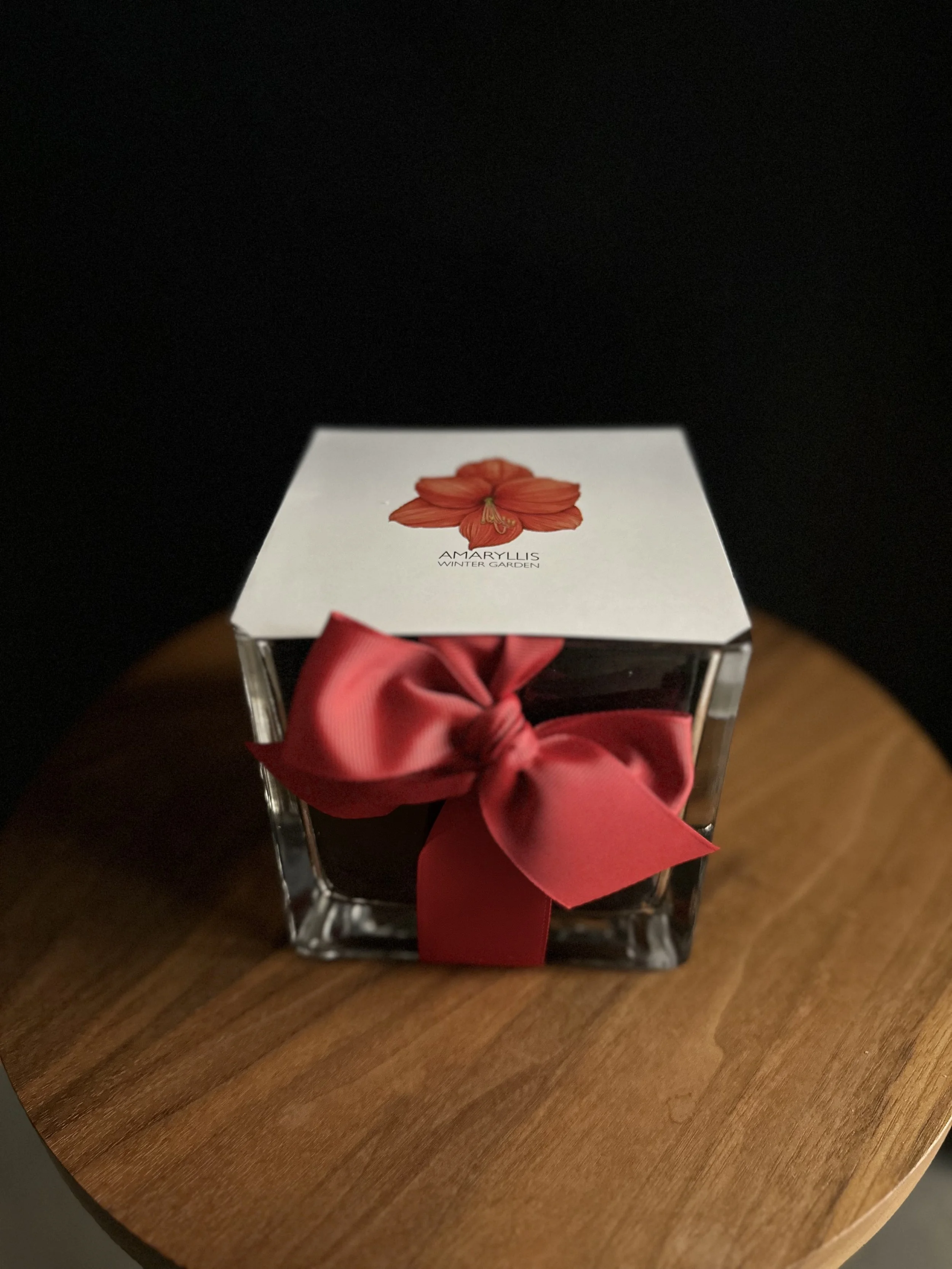 Amaryllis Winter Garden