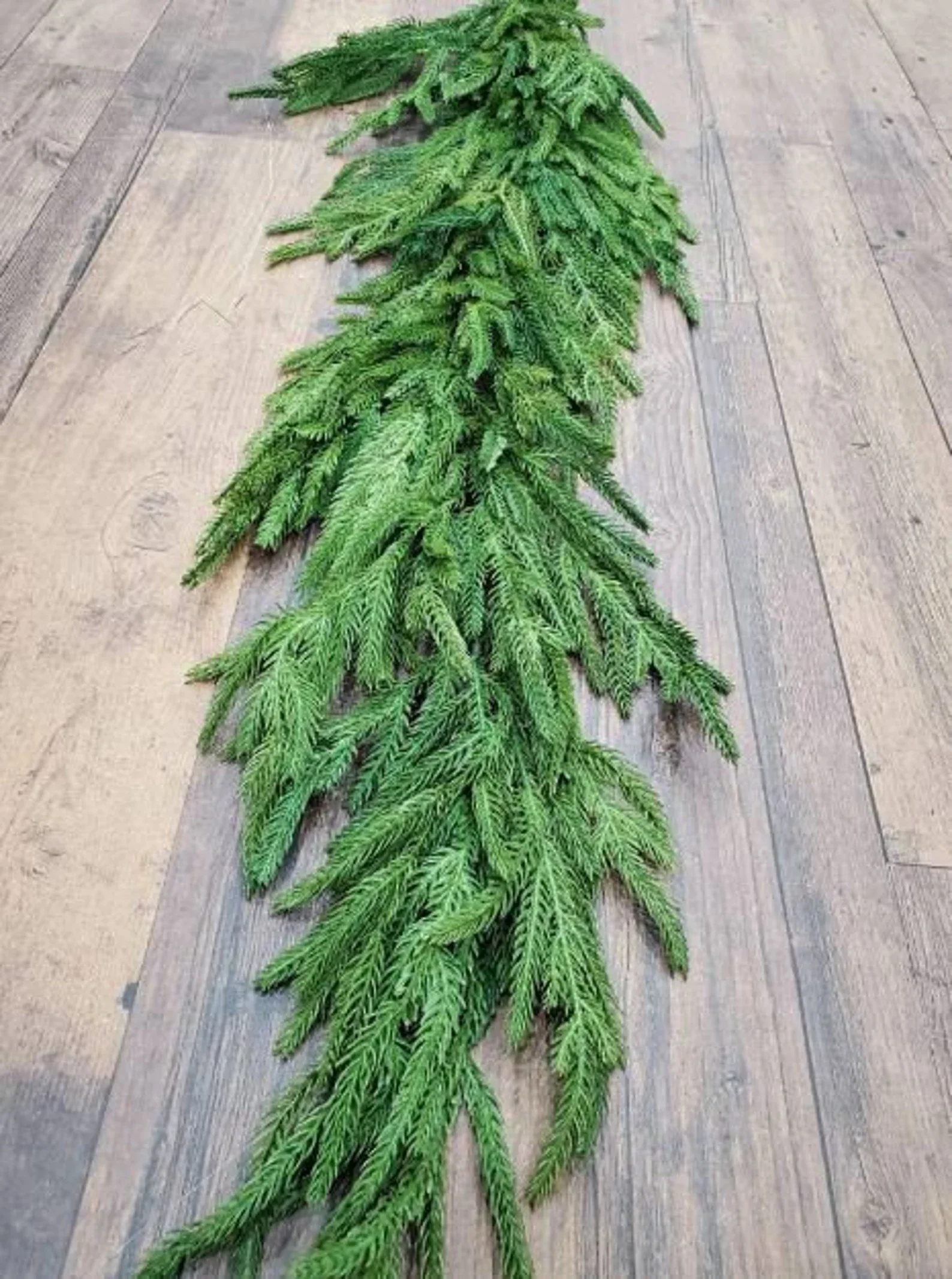 12' norfolk pine real touch garland.webp
