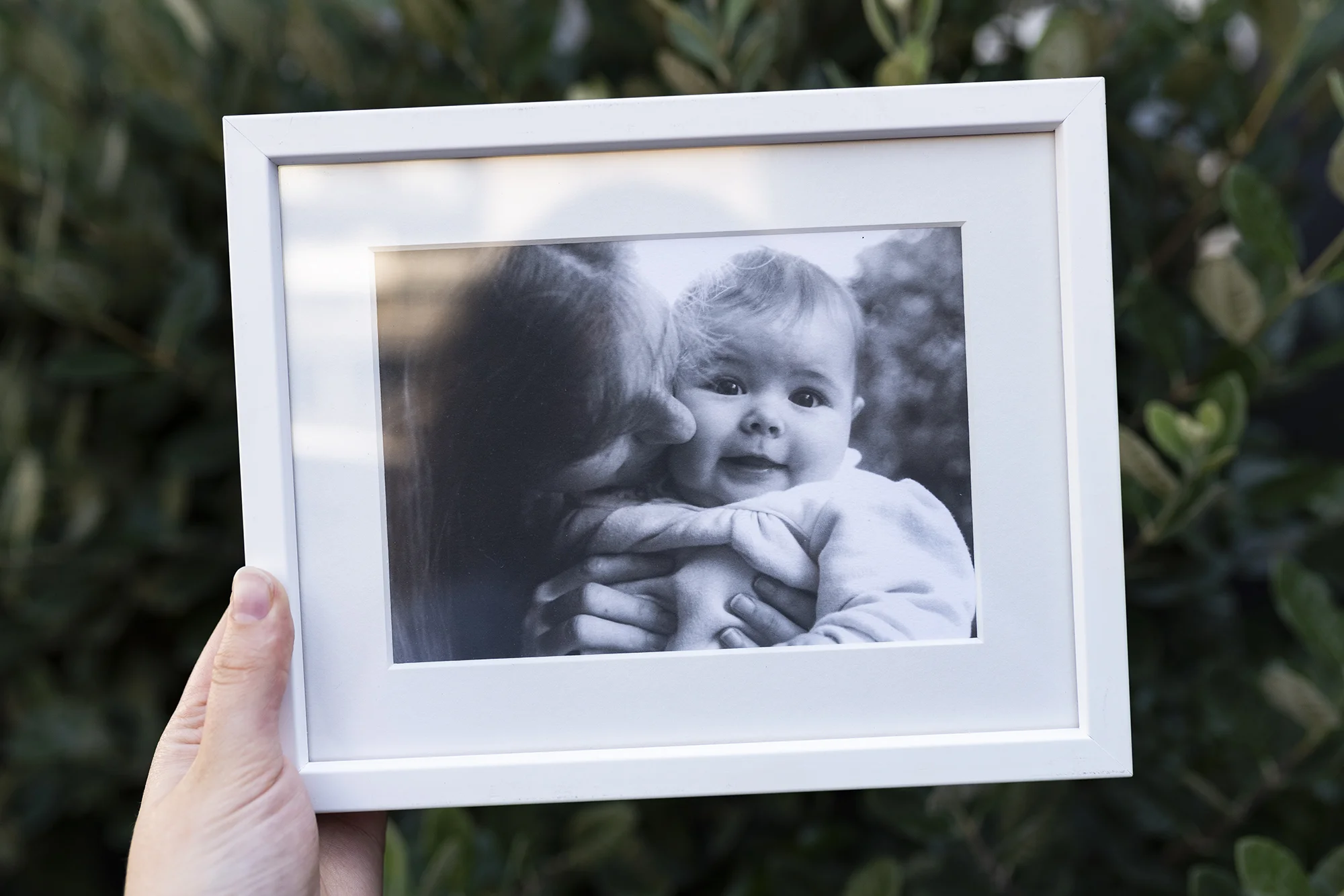 Framing Inspiration Gallery — El Framo Picture Framing Auckland