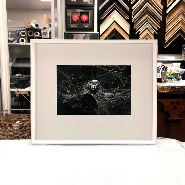 El Framo Picture Framing Auckland