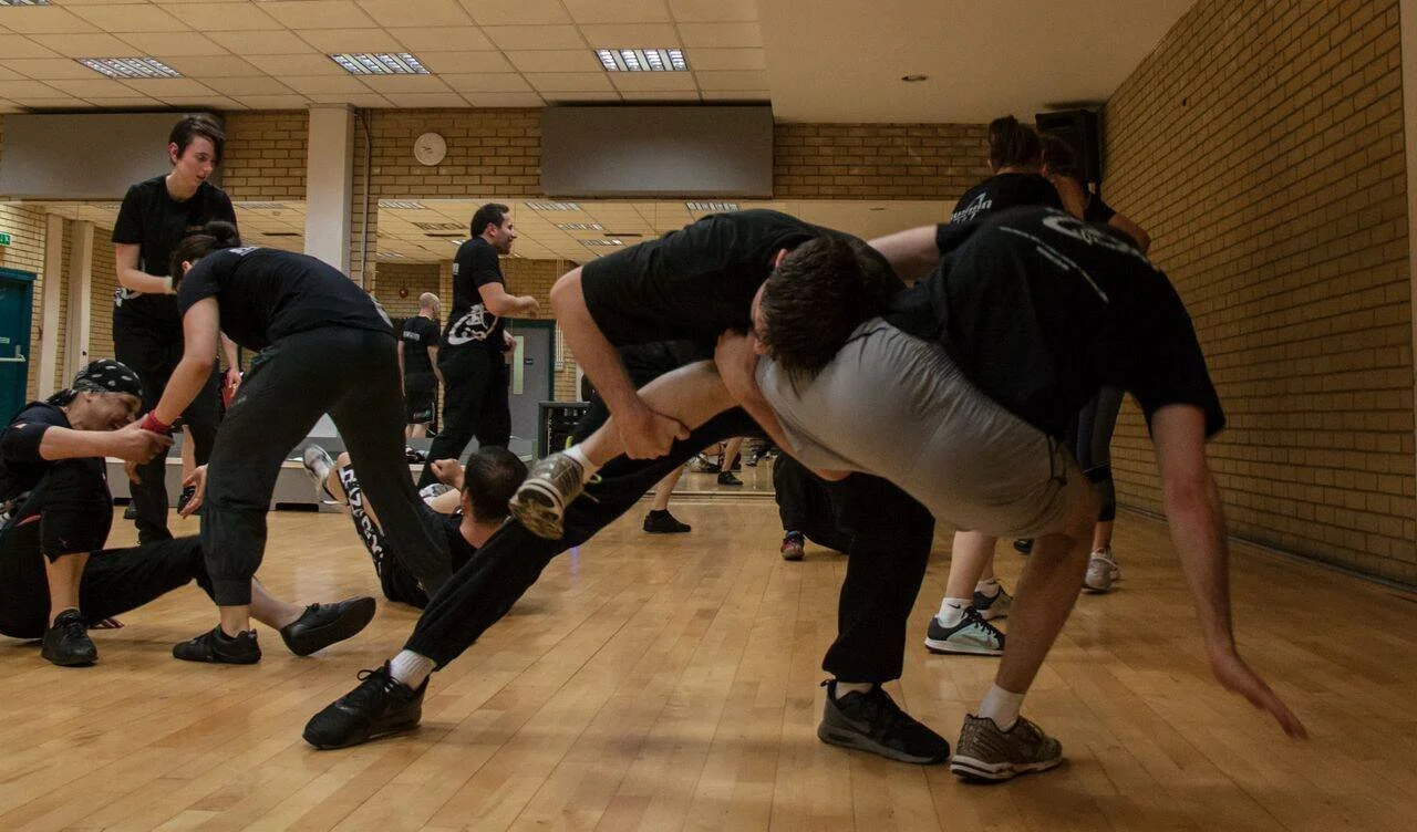 Mixed martial arts, Kickboxing, Fitness, and realistic self defence in