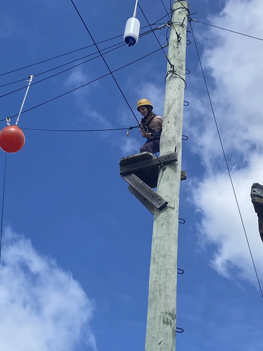 Copy of IMG_6242.JPEG