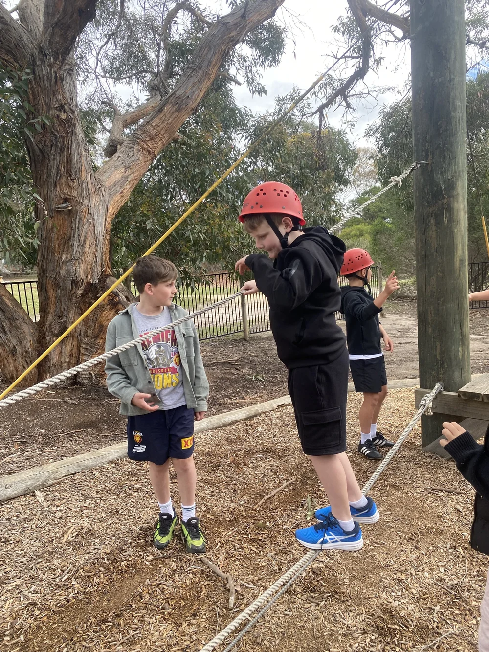 Copy of IMG_6169.JPEG