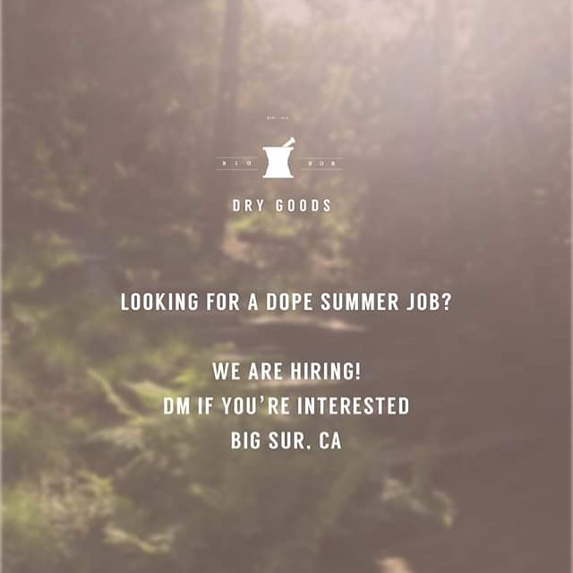 DM if you are in Carmel or Big Sur this summer and looking for an amazing job, on a an even more amazing property