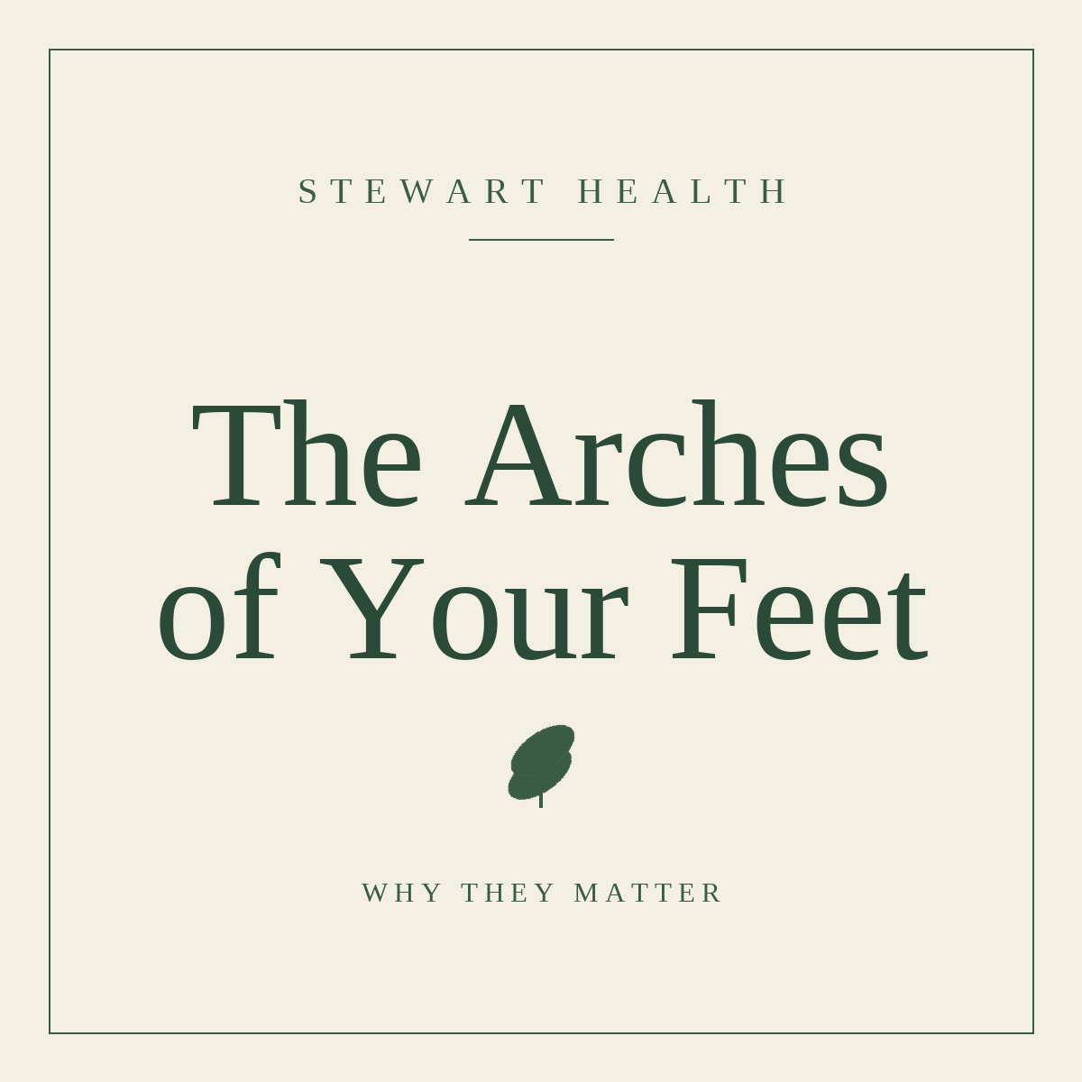 The Arches of Your Feet: Why They Matter and How to Think About Them