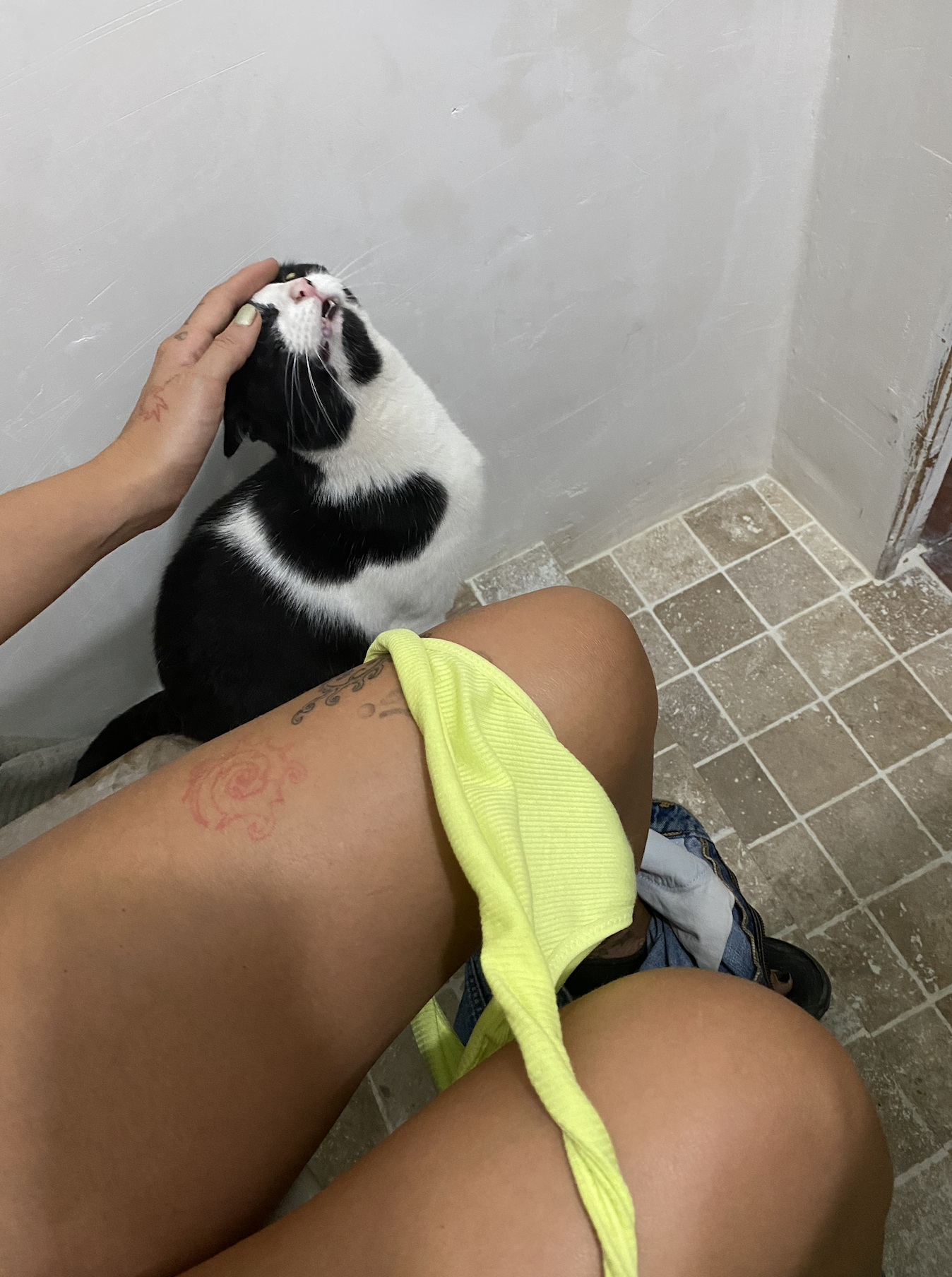 Capture d’écran 2026-04-23 à 18.33.50.png