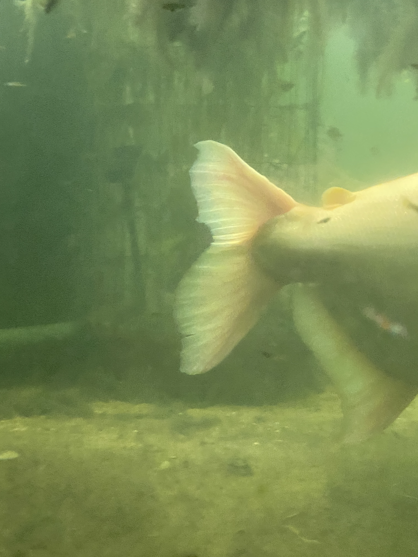 Capture d’écran 2026-04-23 à 18.34.22.png