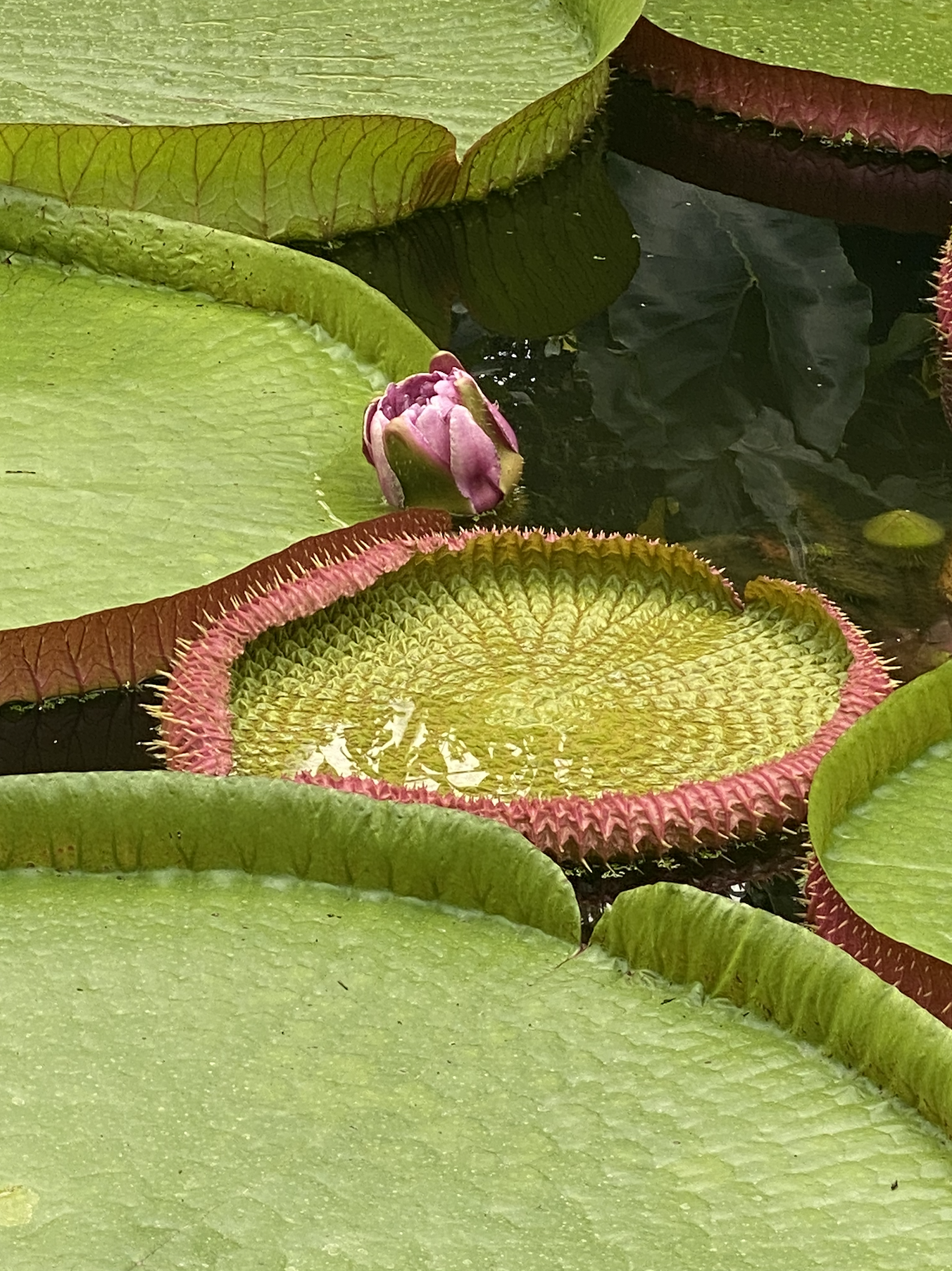 Capture d’écran 2026-04-23 à 18.34.30.png