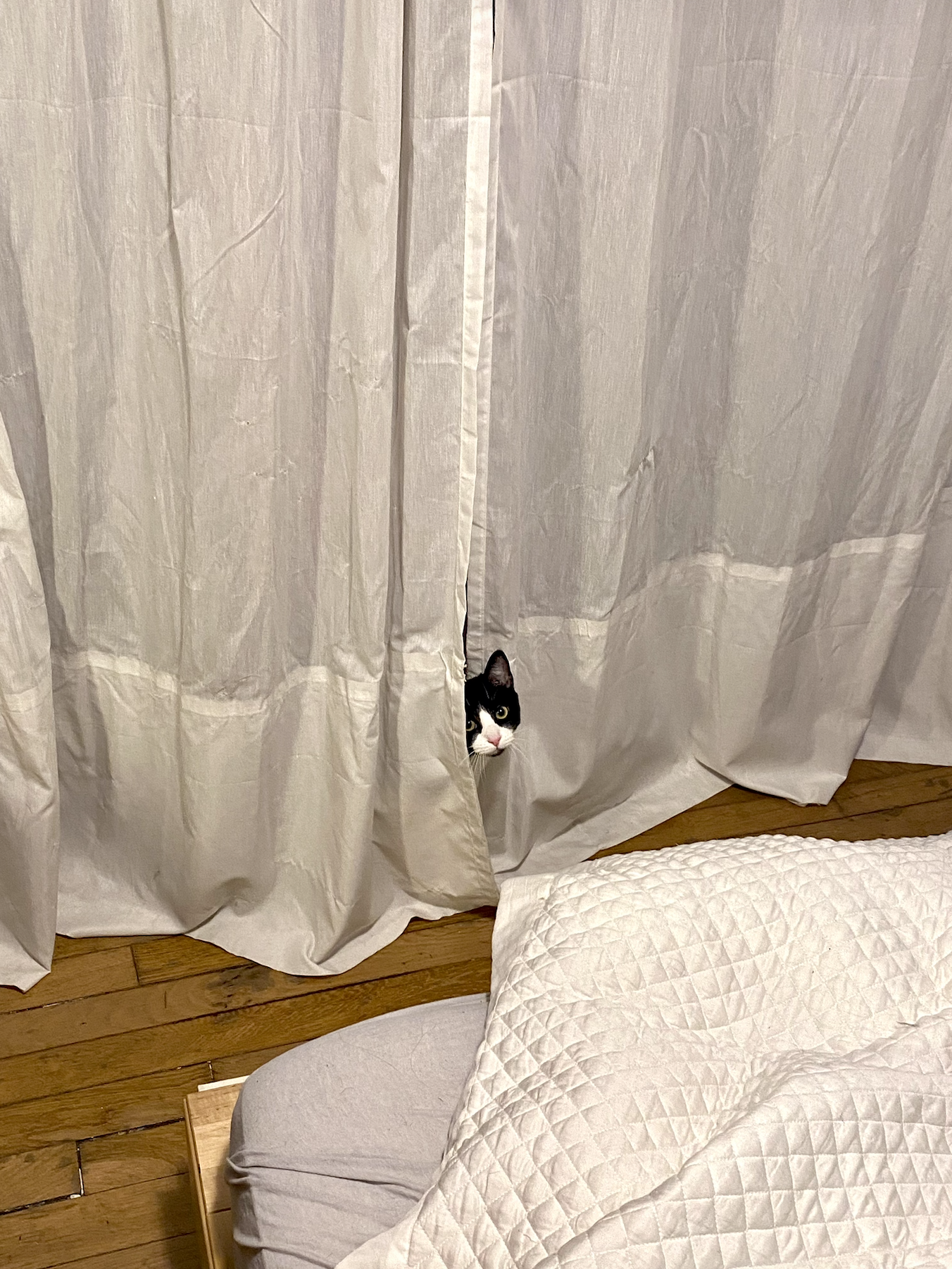 Capture d’écran 2026-04-23 à 18.34.36.png