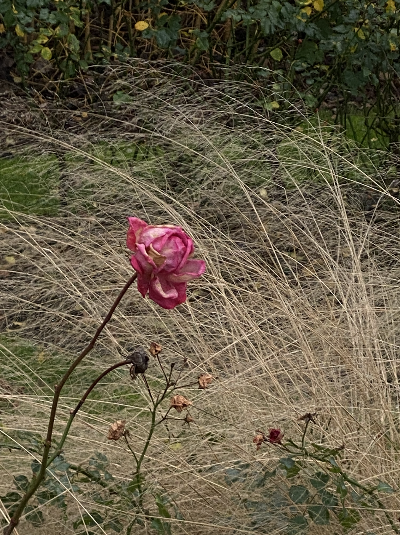Capture d’écran 2026-04-23 à 18.36.32.png
