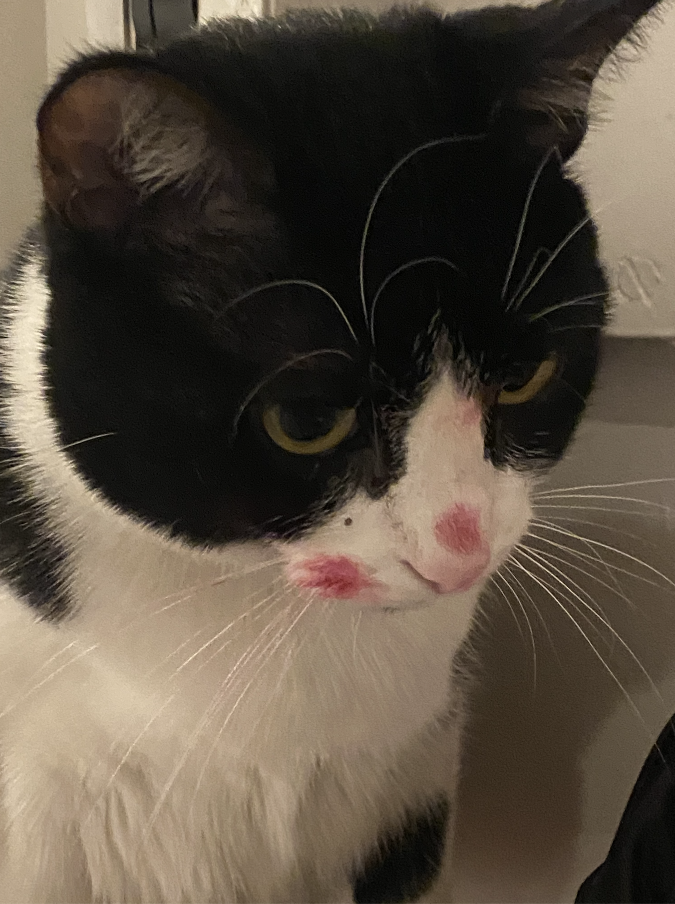 Capture d’écran 2026-04-23 à 18.36.39.png