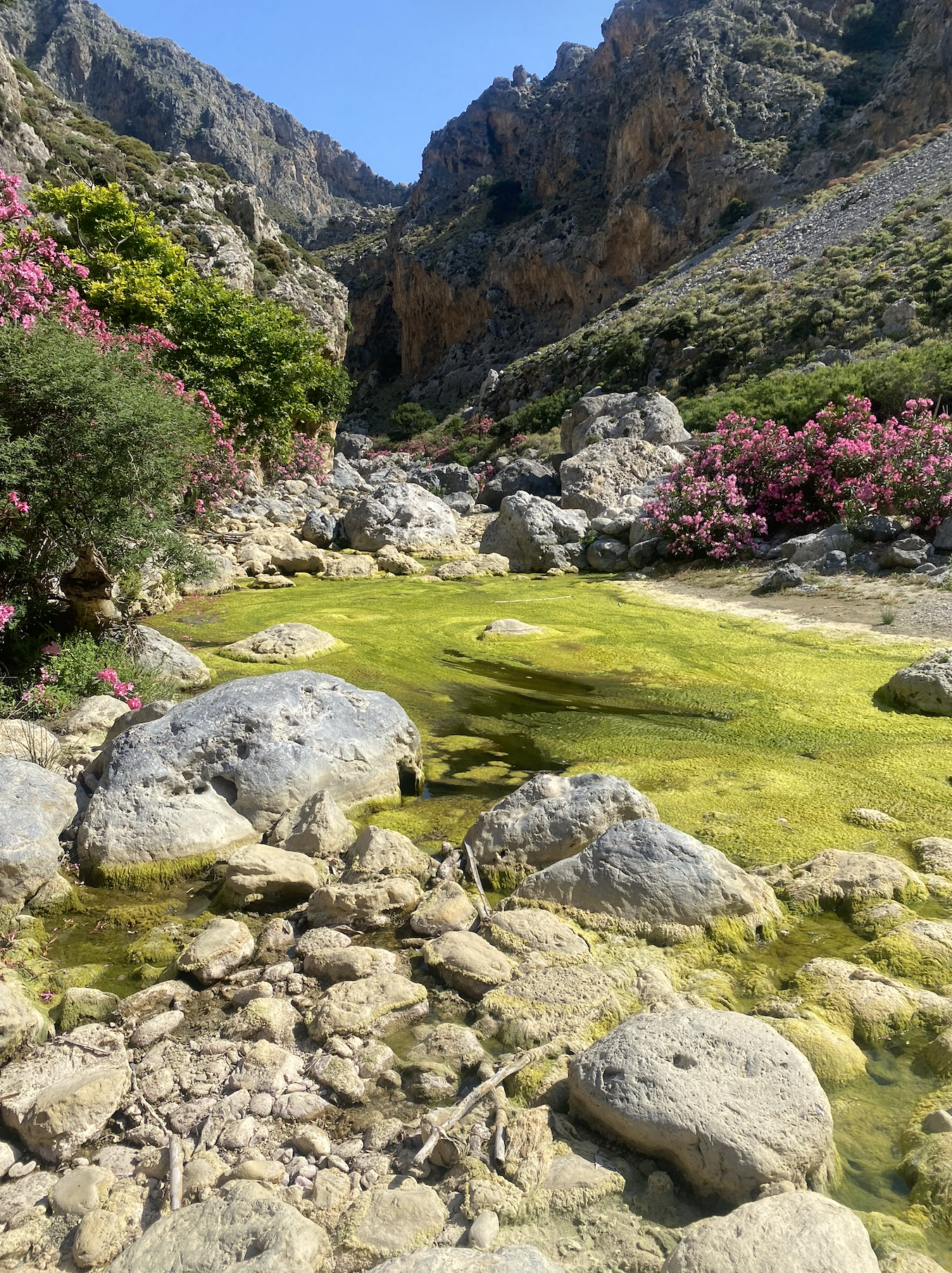 Capture d’écran 2026-04-23 à 18.38.53.png