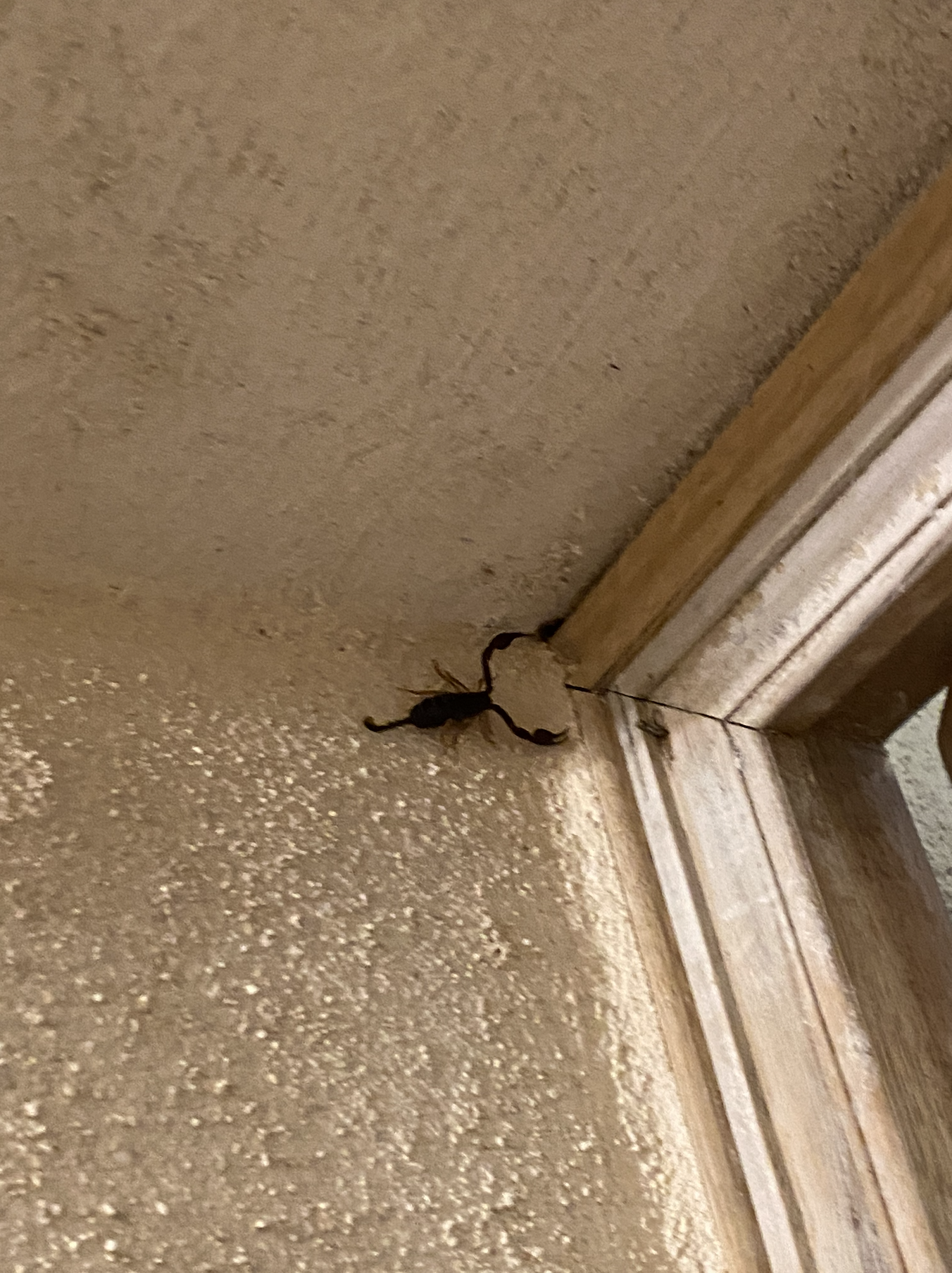 Capture d’écran 2026-04-23 à 18.39.09.png