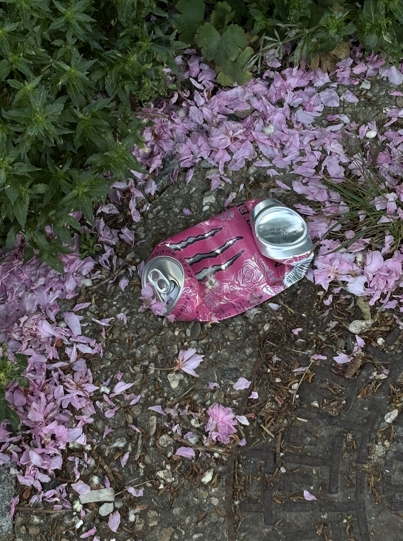 Capture d’écran 2026-04-23 à 18.40.17.png