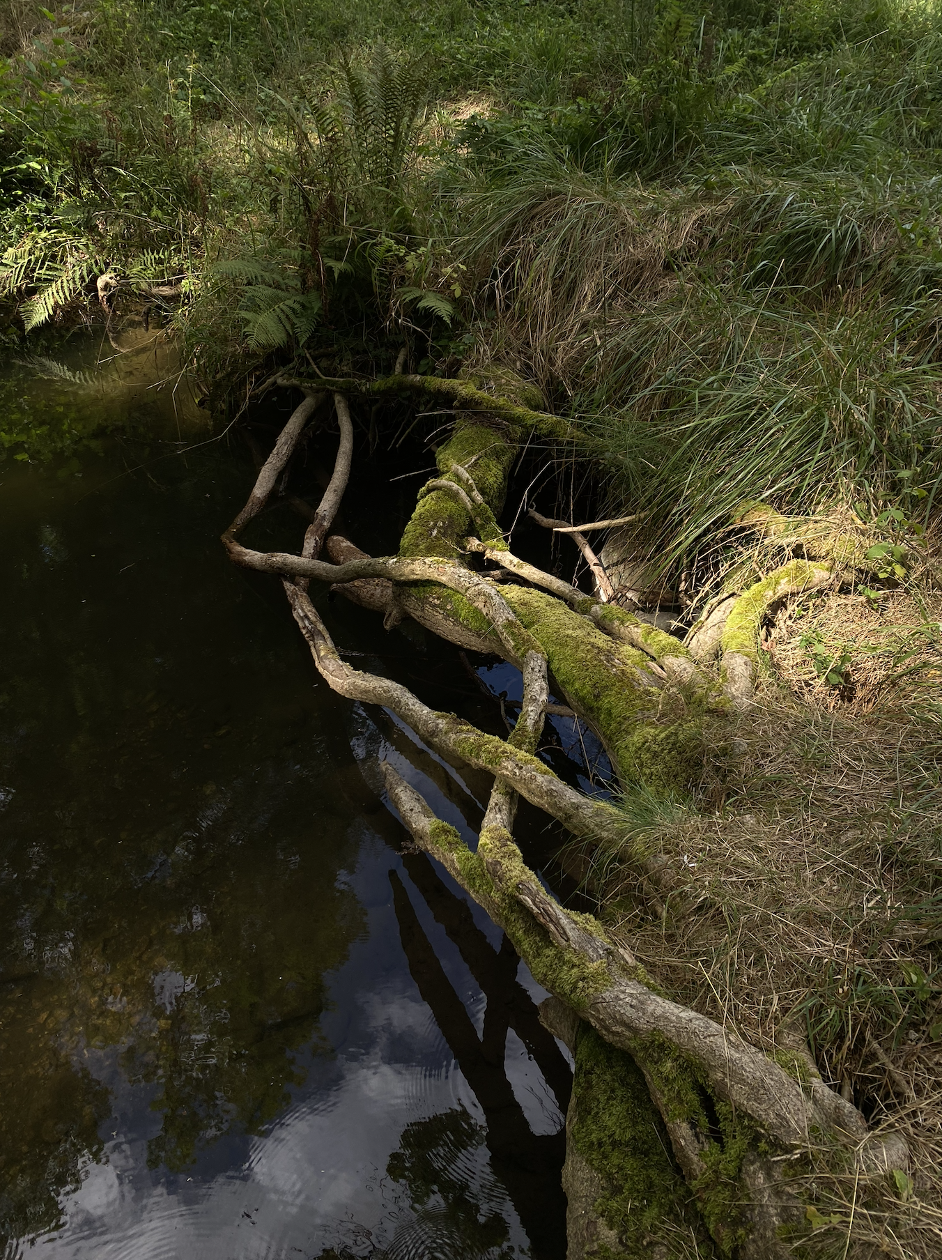 Capture d’écran 2026-04-23 à 18.42.48.png