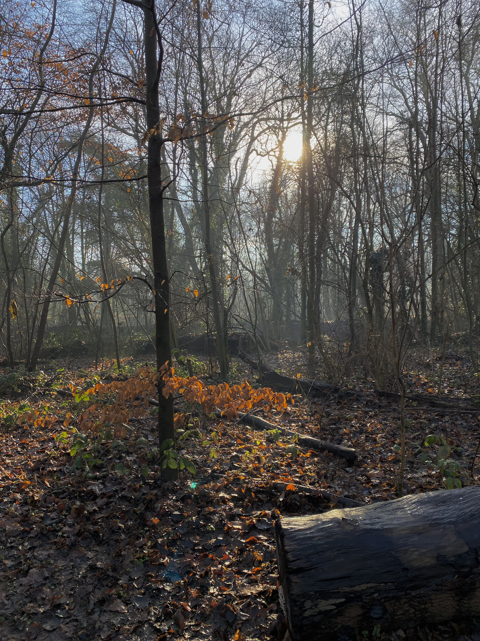 Capture d’écran 2026-04-23 à 18.47.33.png