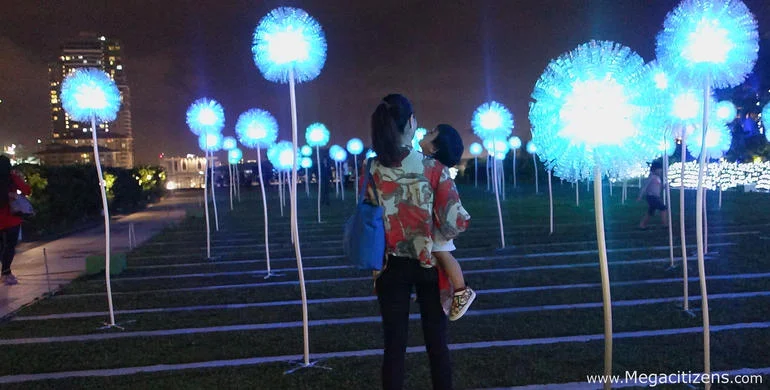 giant dandelions3.jpg