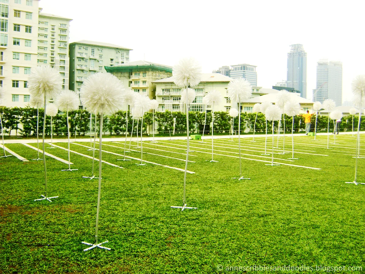 giant dandelions5.jpg