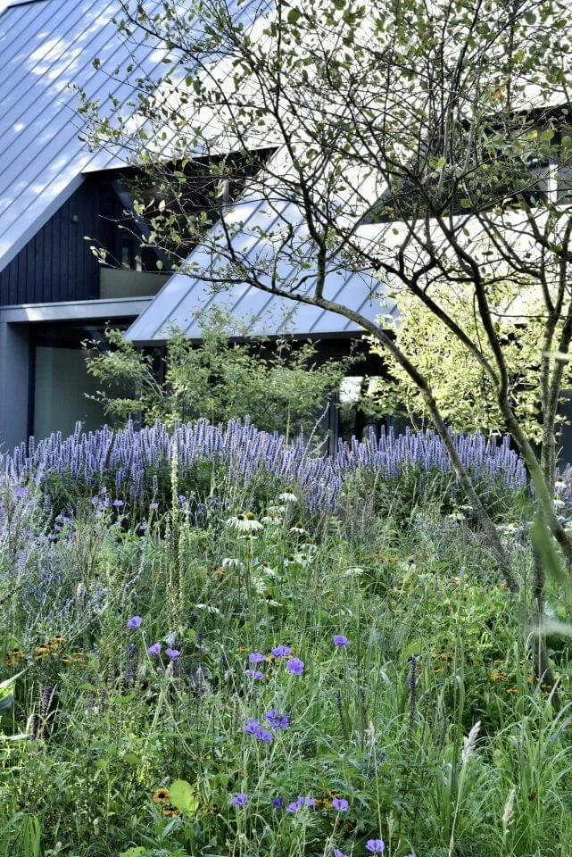 metalen dak brede felsbanen.jpg