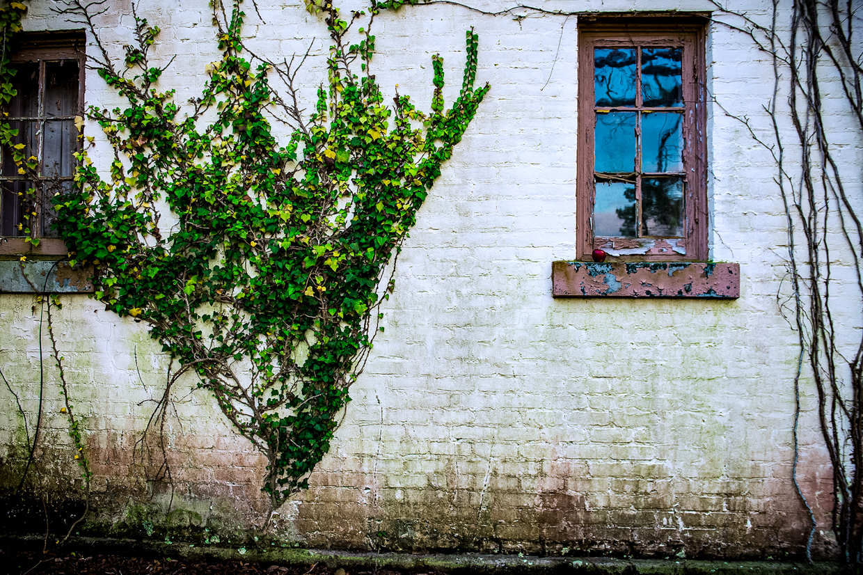 Training_School_CEH_05_a-Edit-Edit.jpg
