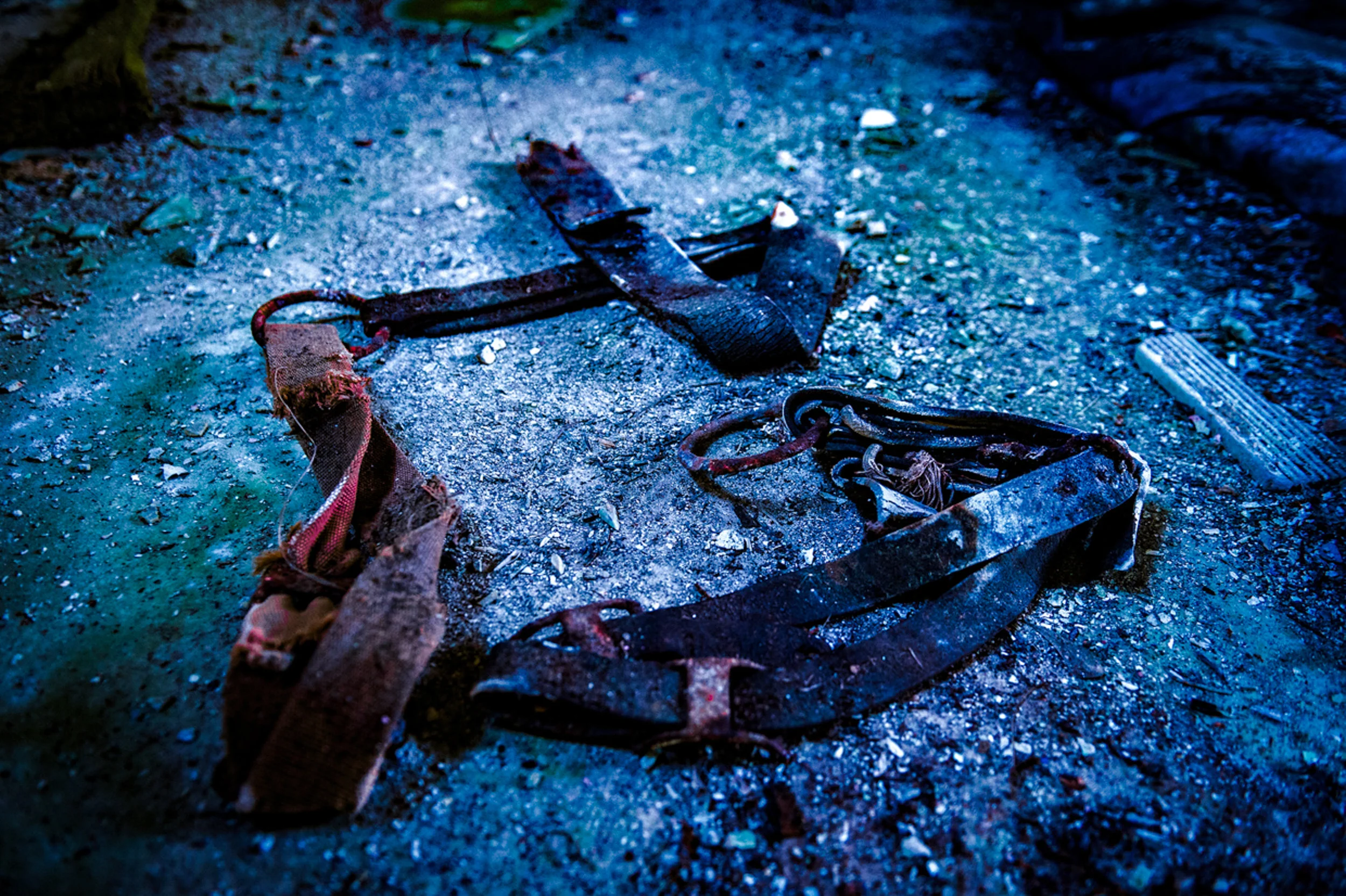 Linger a while longer, look and see where innocence came to be shackled and touched, yanked and choked, throttled, pierced, beaten, abandoned.
